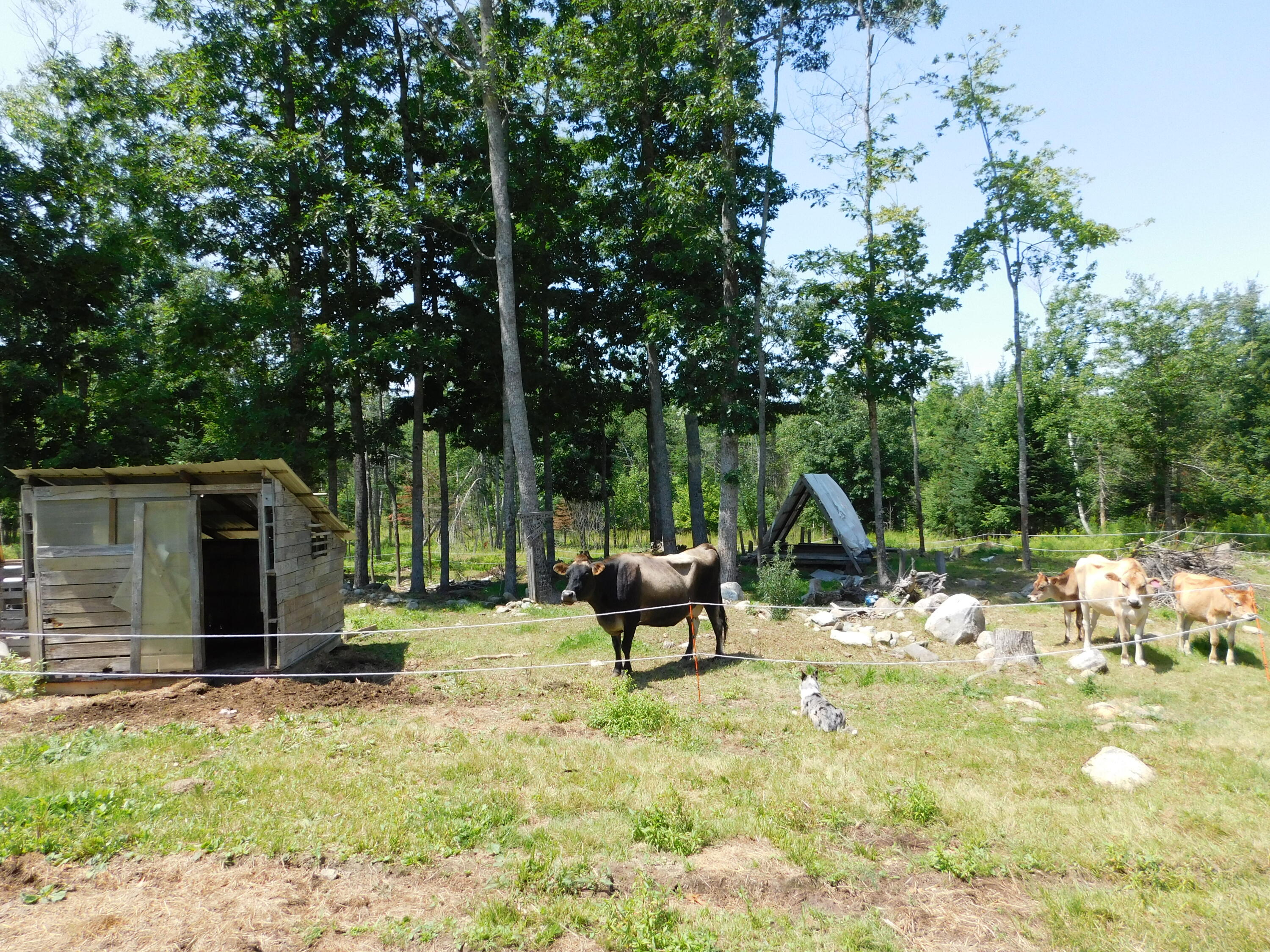 main property photo 78