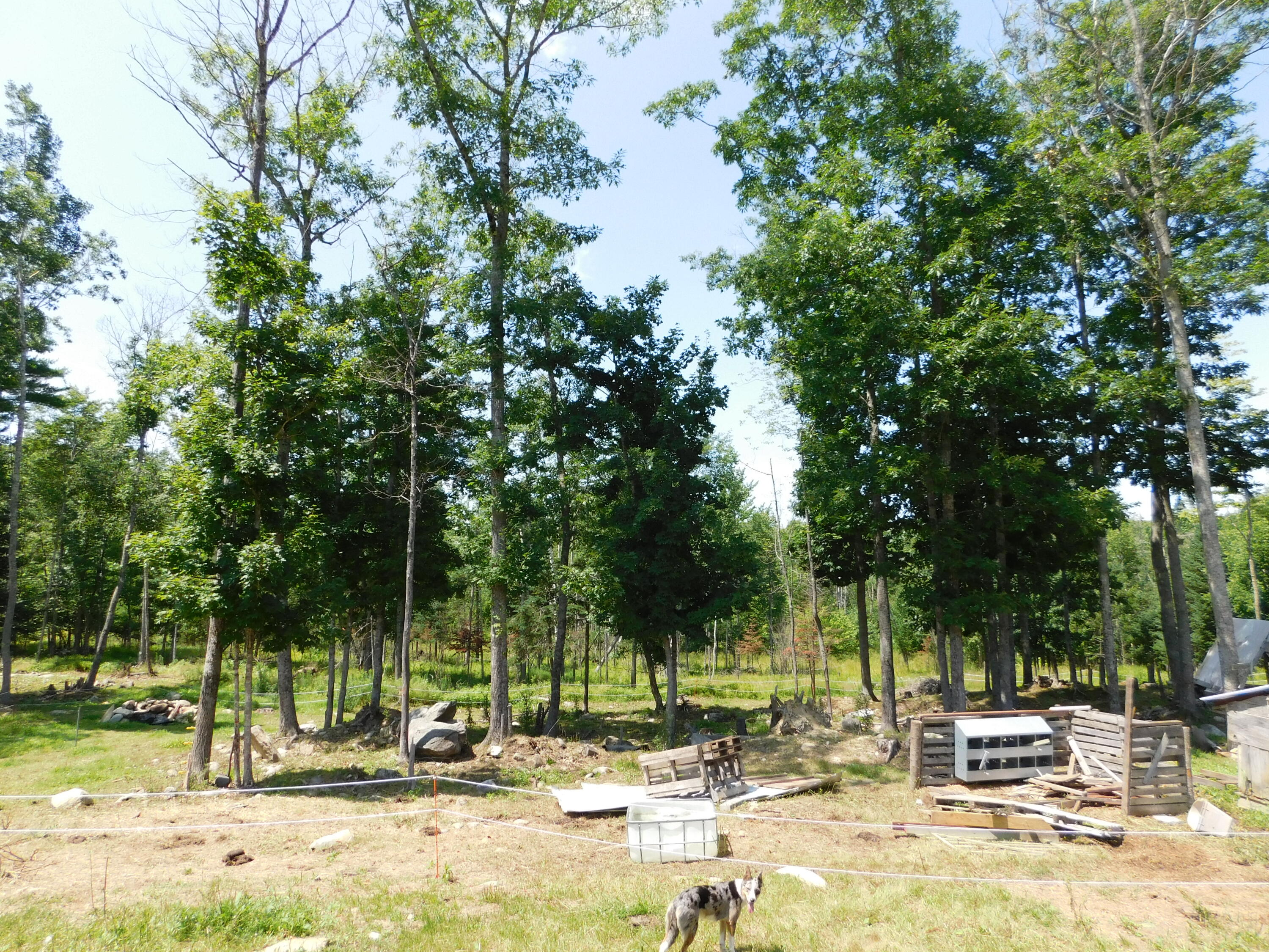 main property photo 81