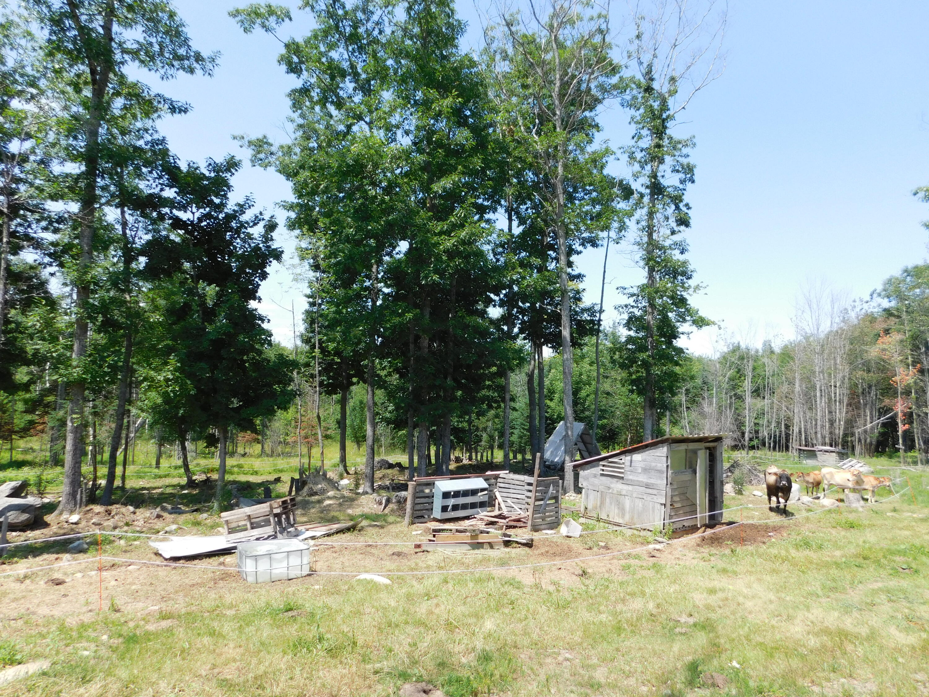 main property photo 83