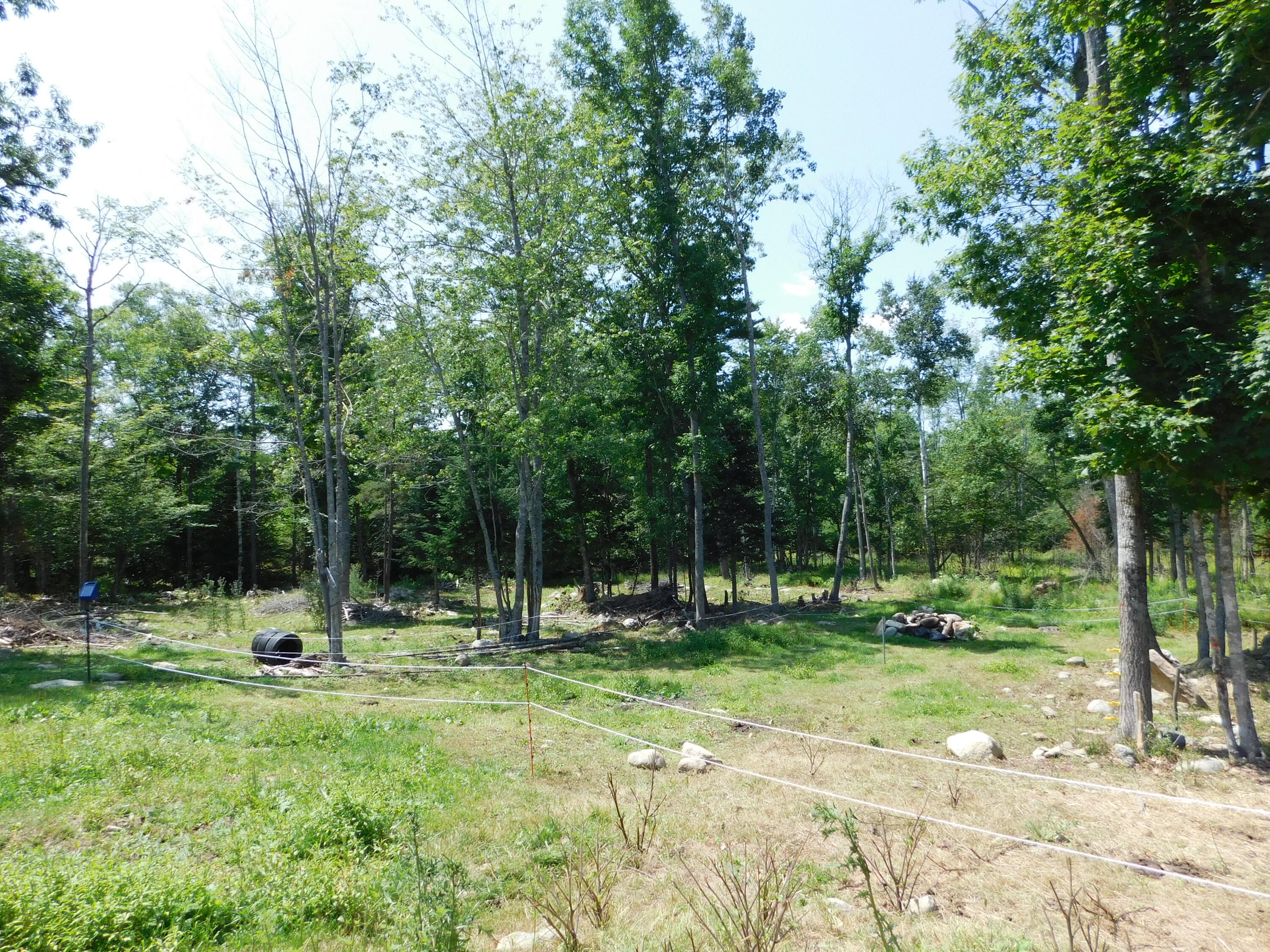 main property photo 84