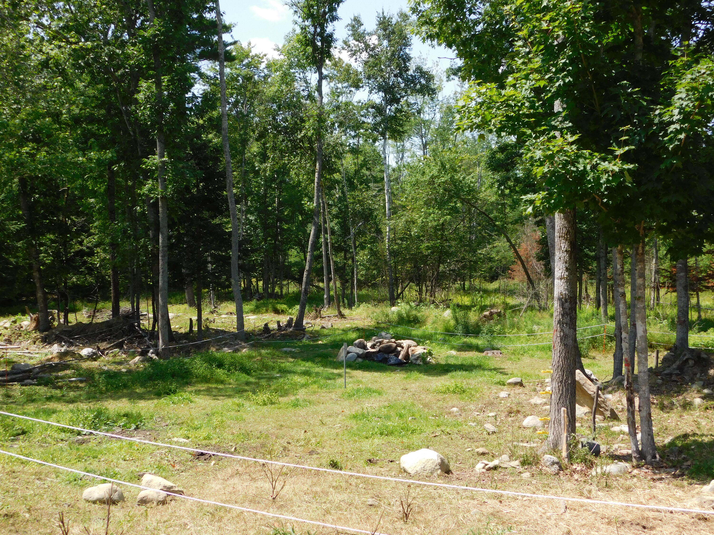 main property photo 85