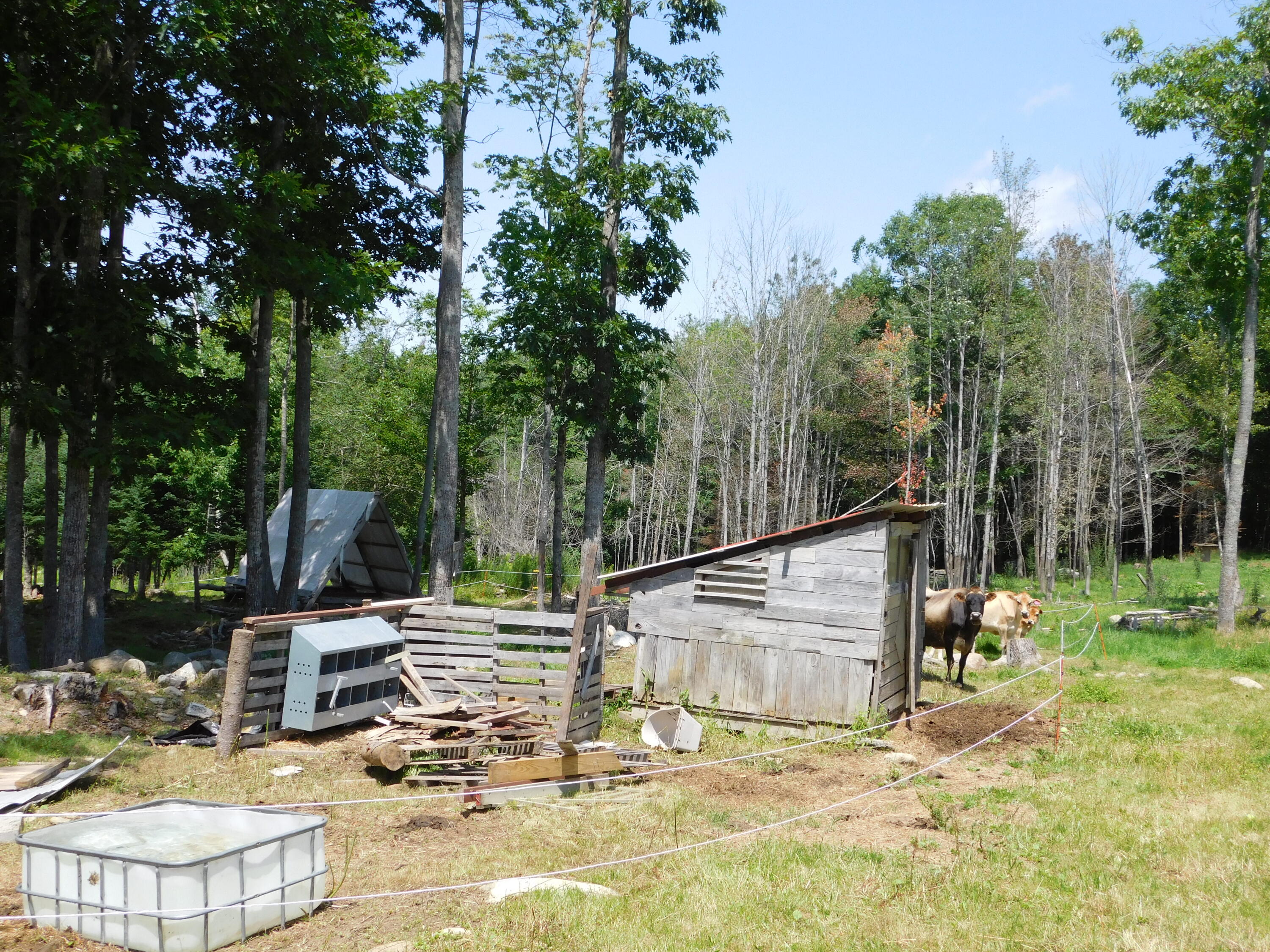 main property photo 86