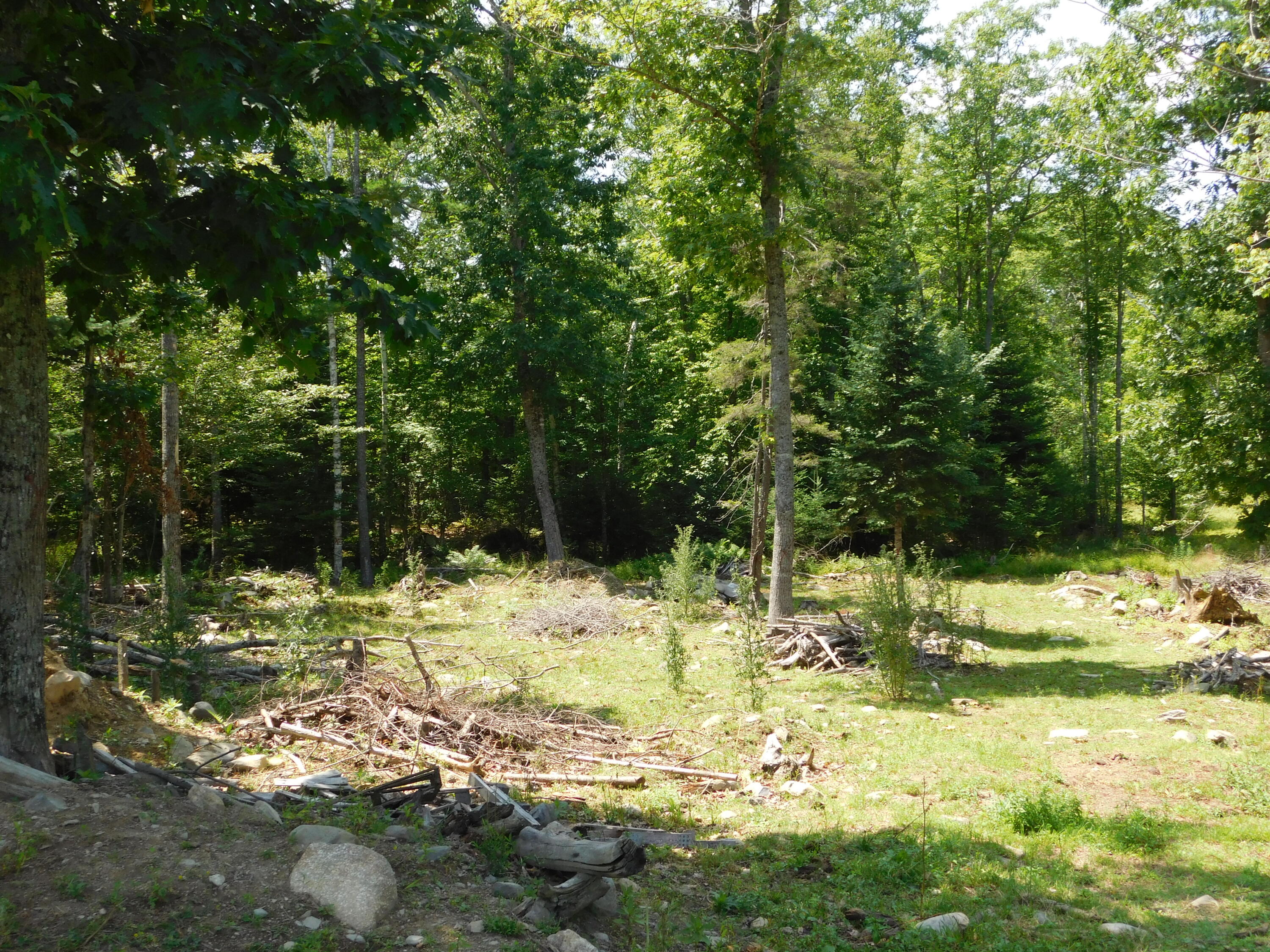 main property photo 88