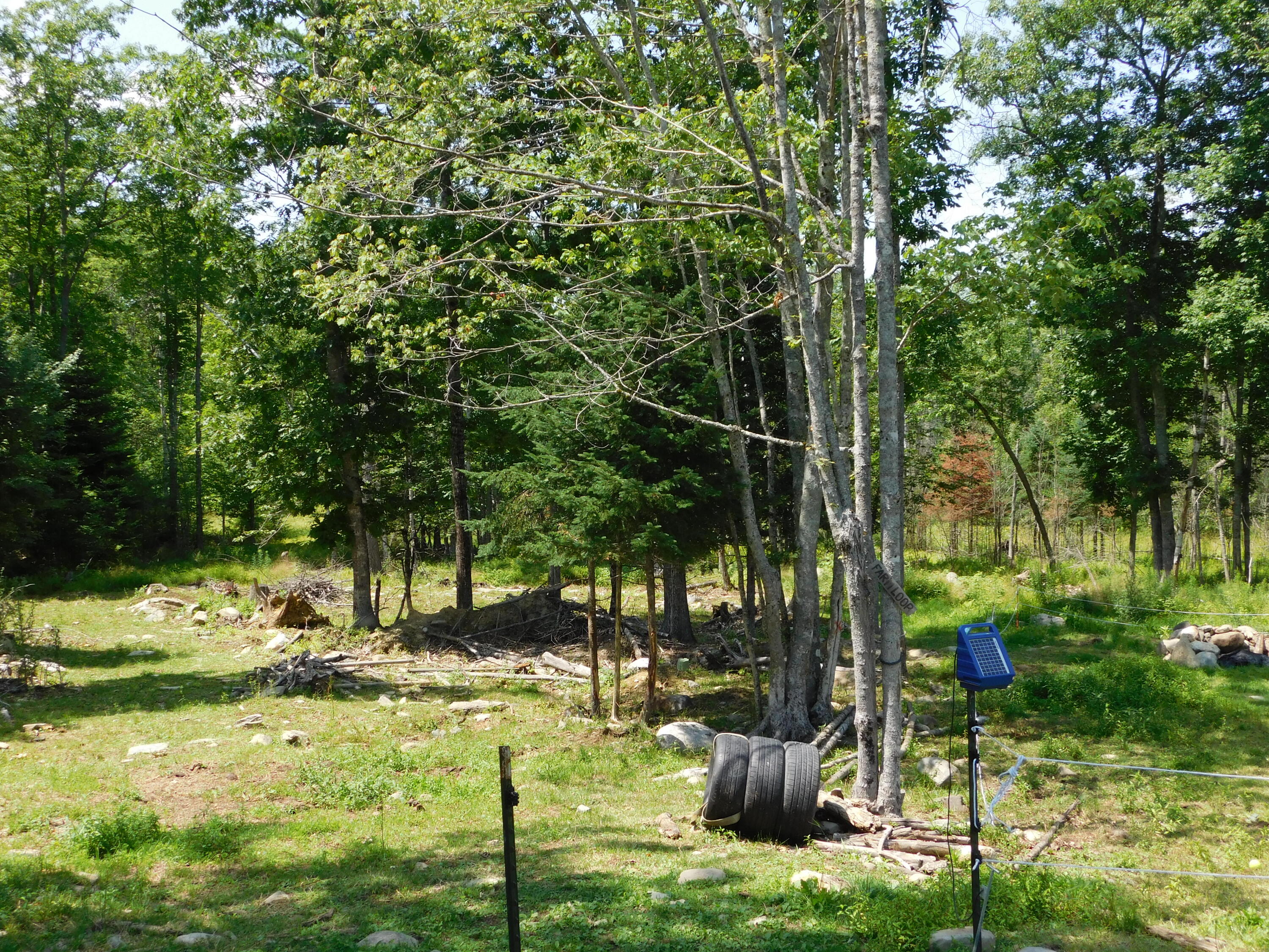 main property photo 89