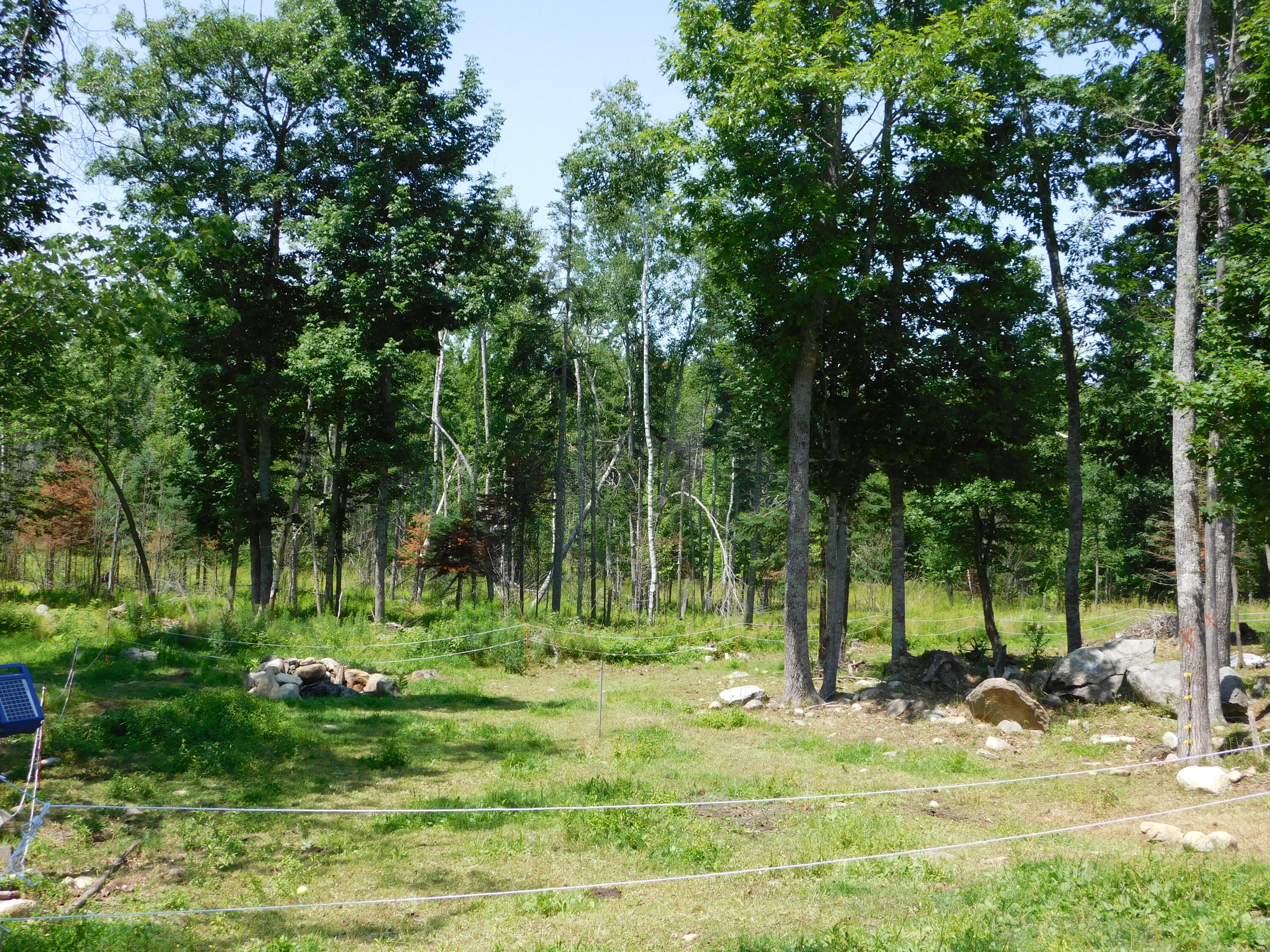 main property photo 90