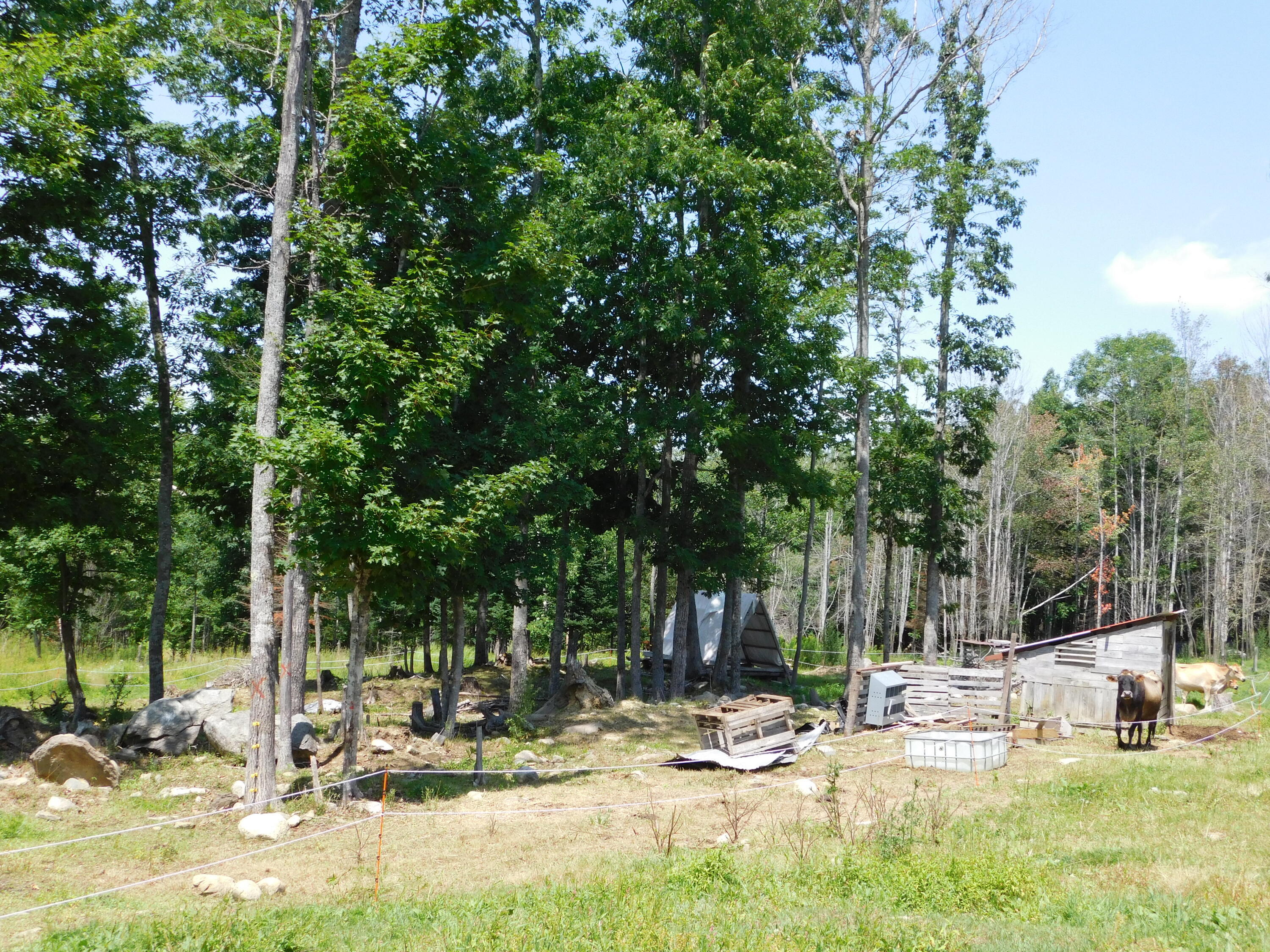 main property photo 91