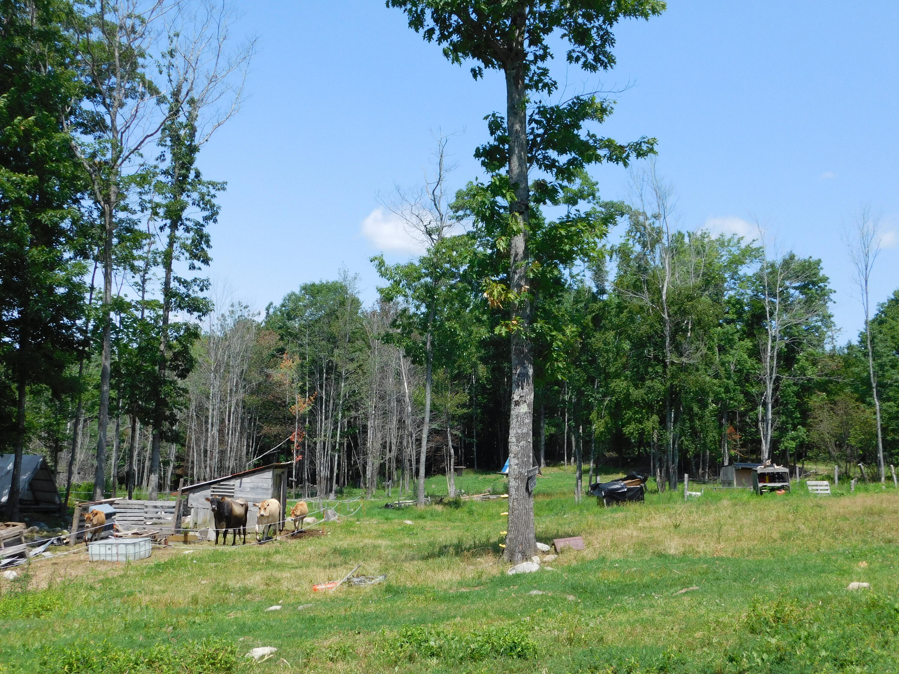 main property photo 93
