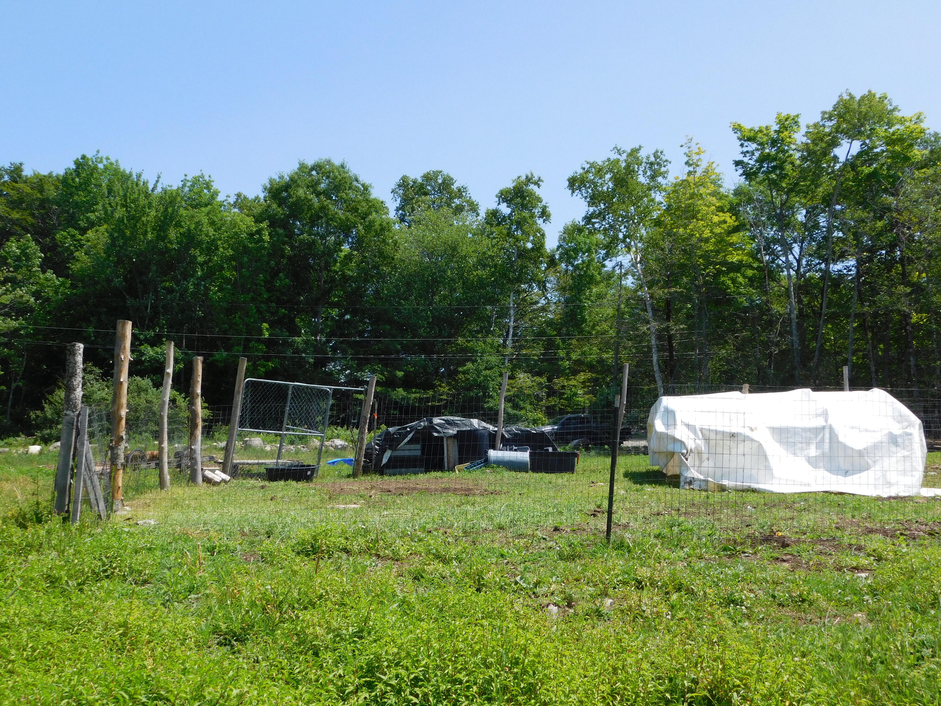 main property photo 94