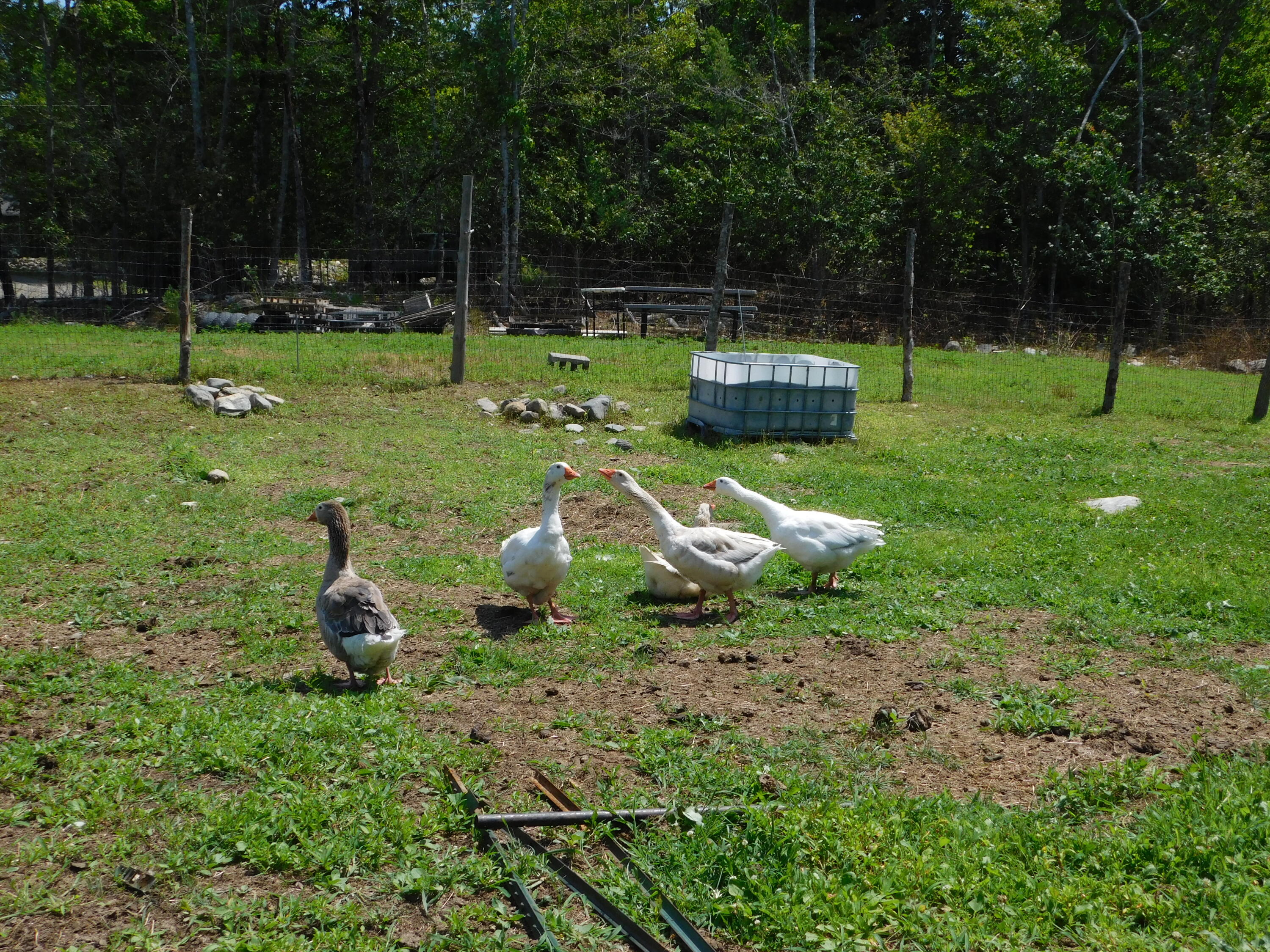 main property photo 95