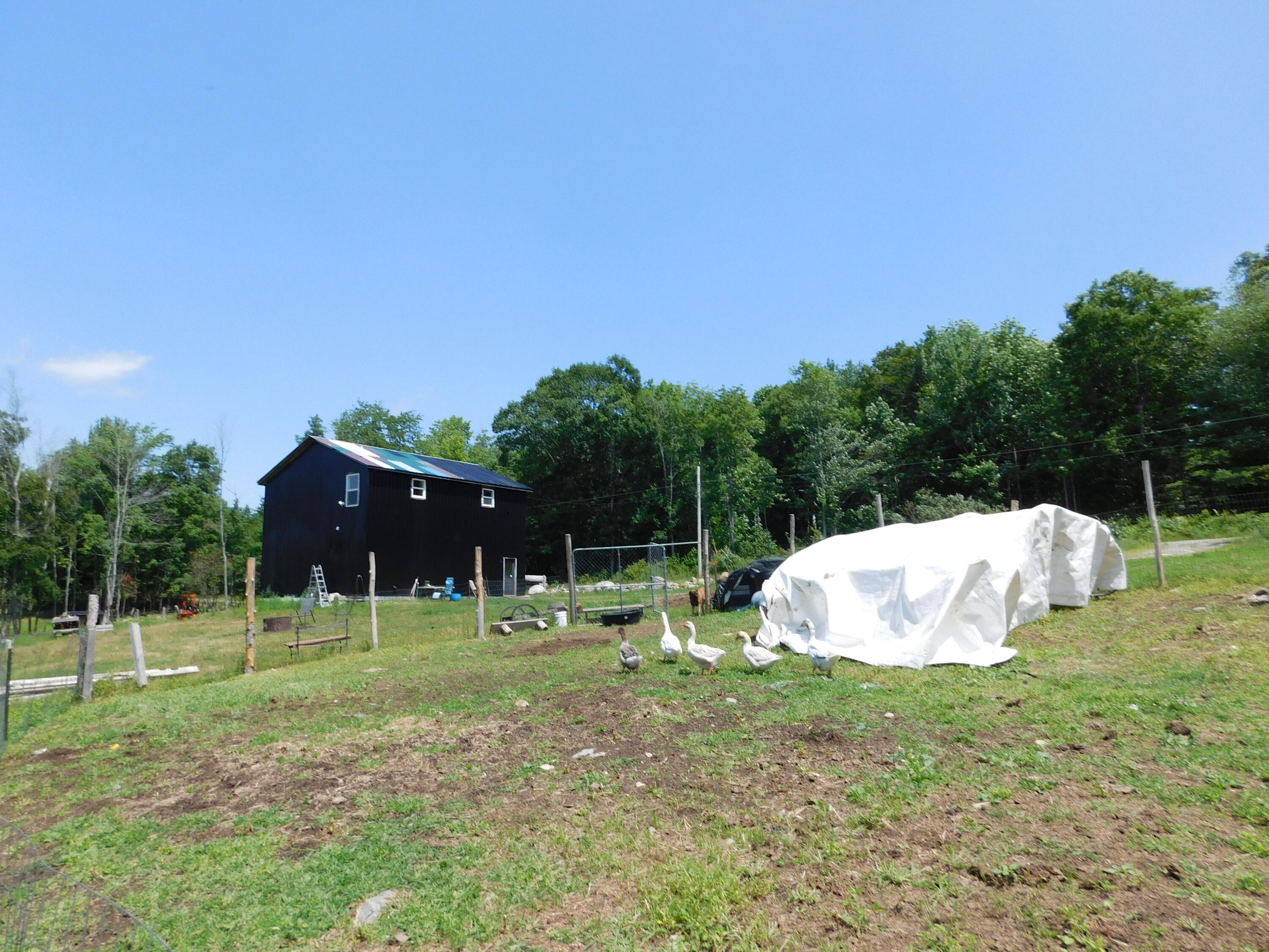 main property photo 96