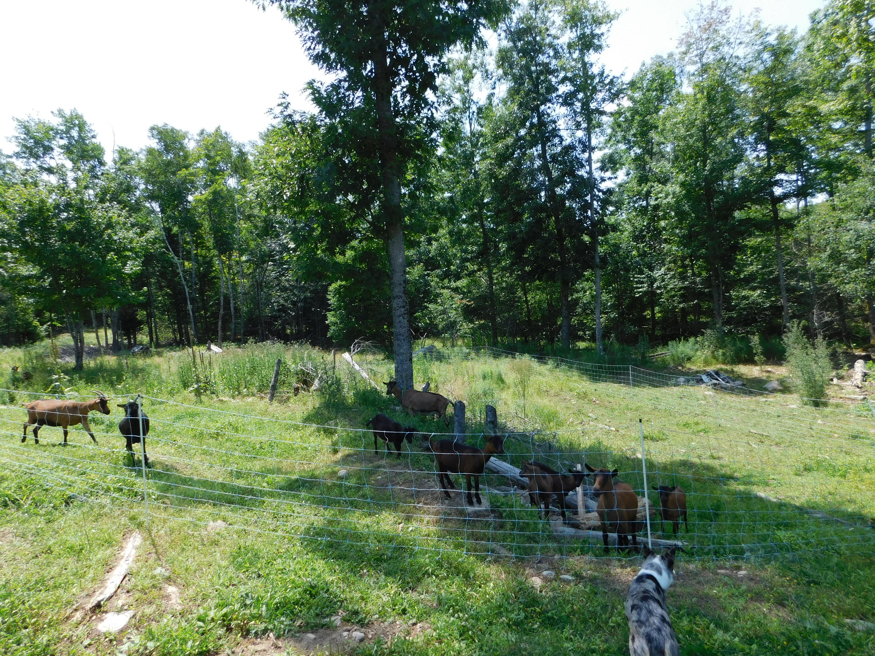 main property photo 97