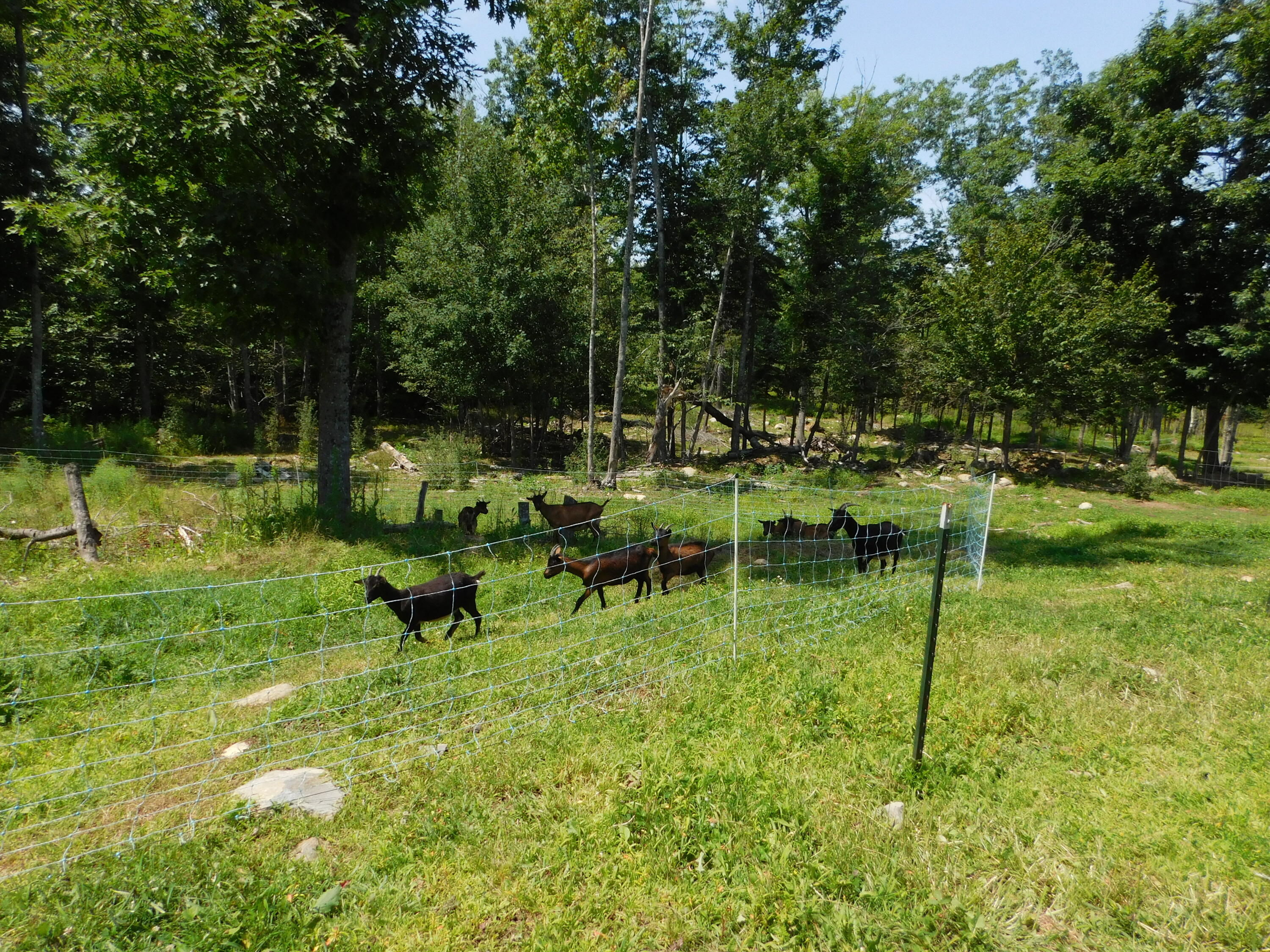 main property photo 99
