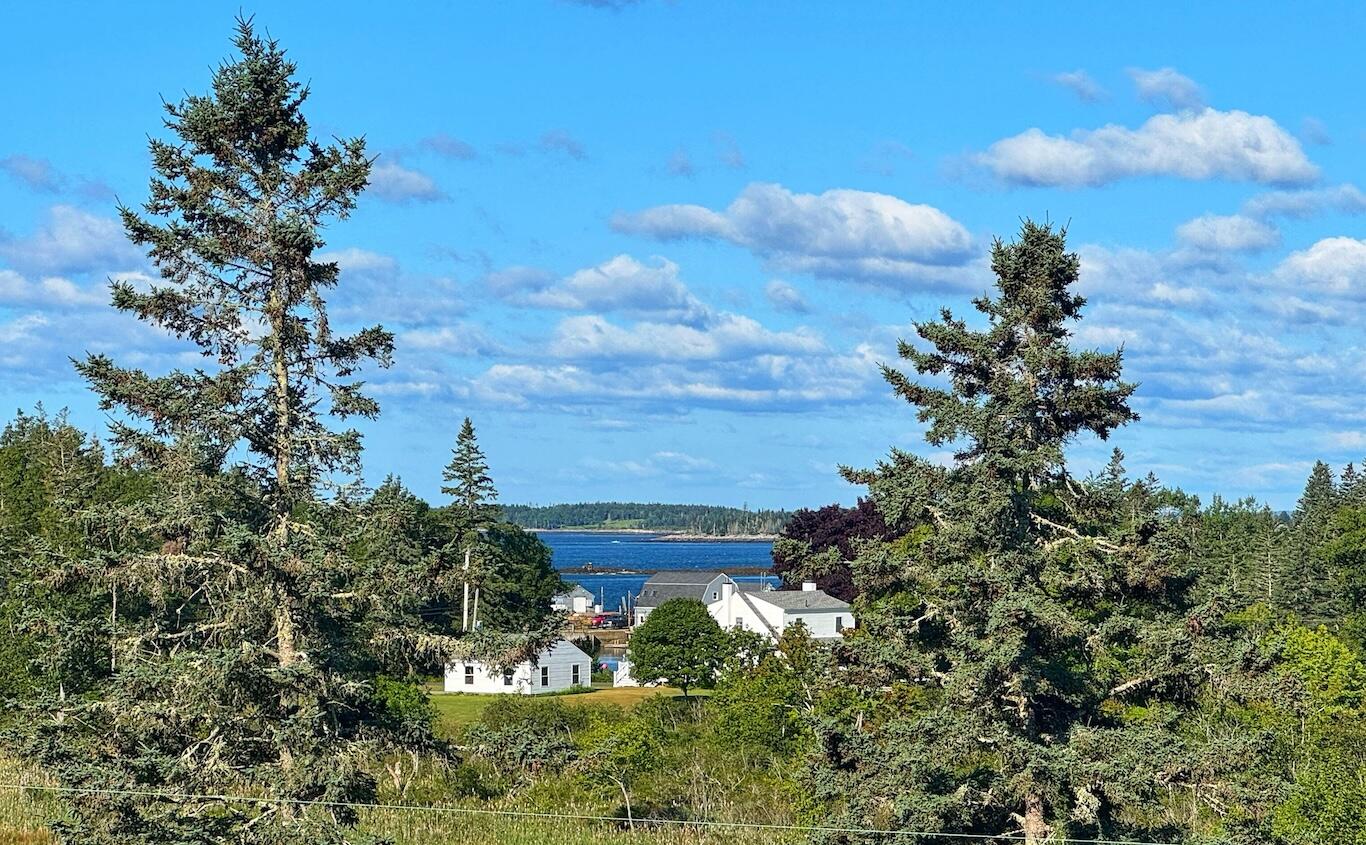 main property photo 53