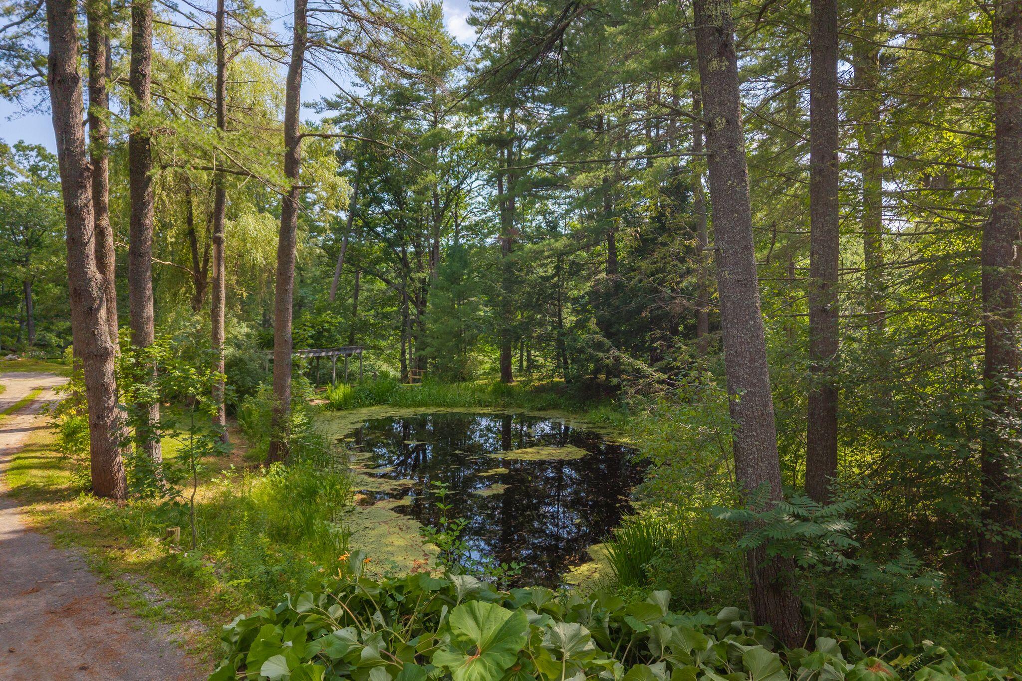 main property photo 74