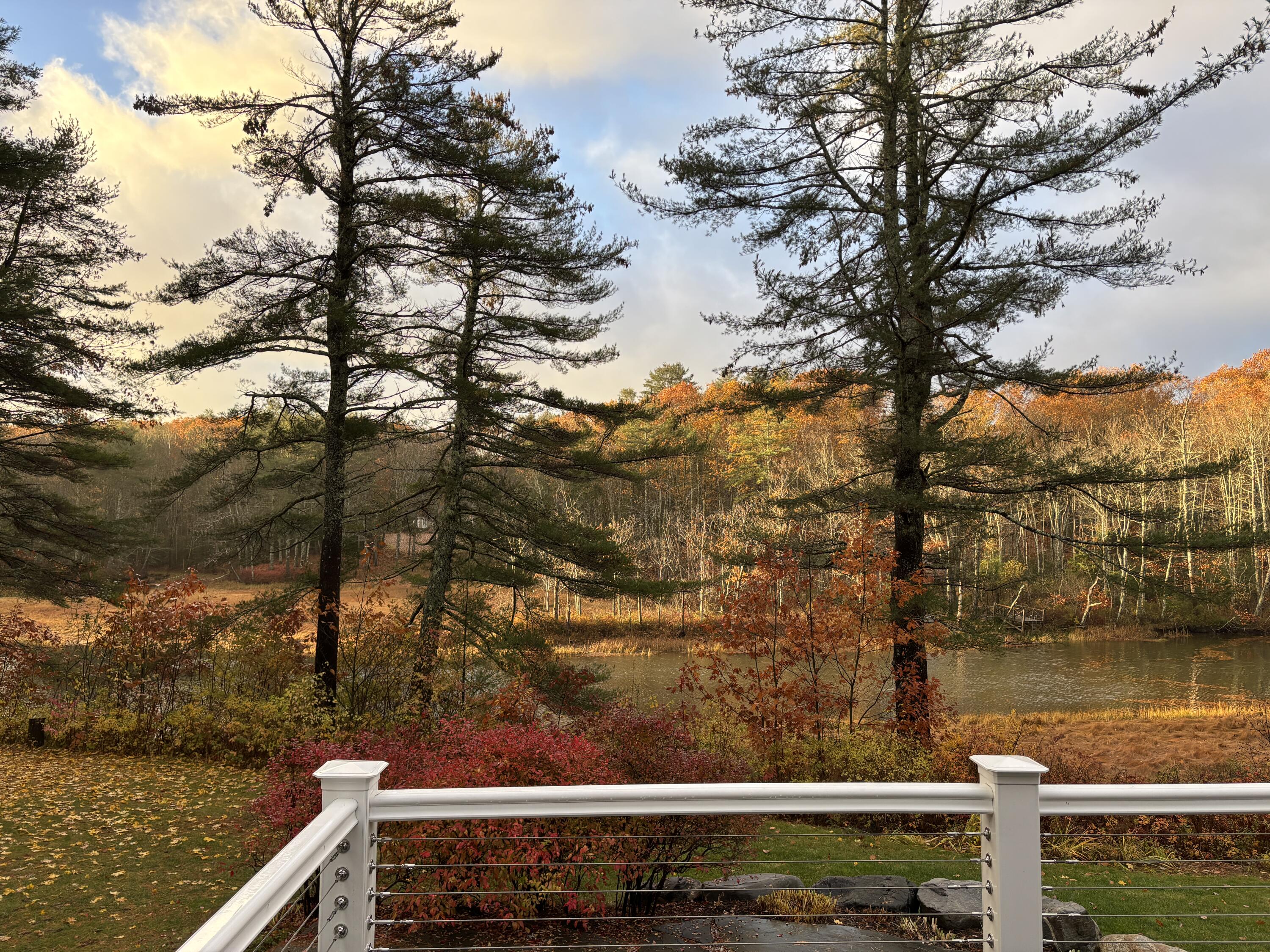 main property photo 75