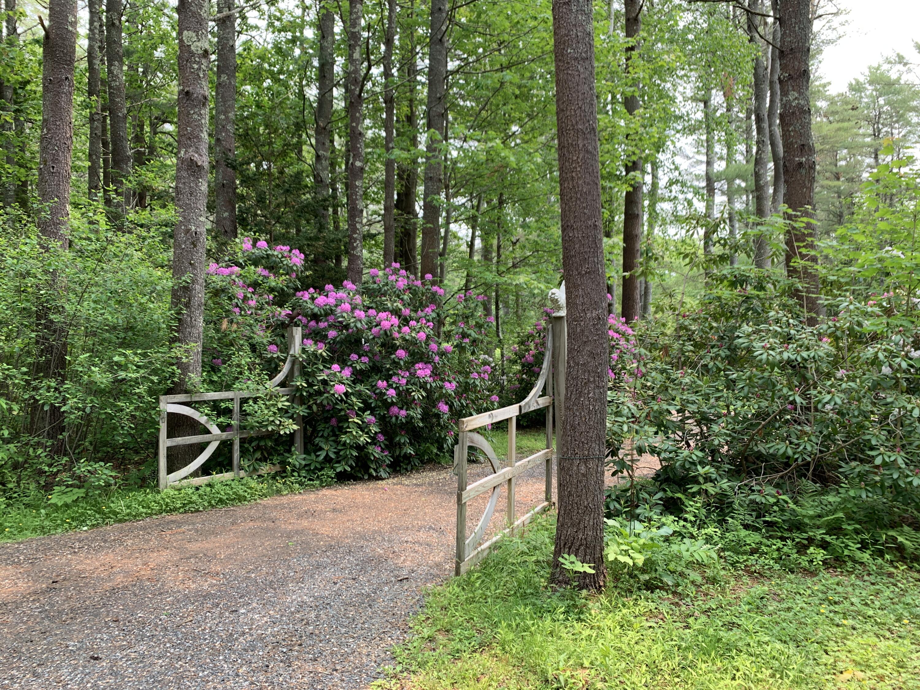 main property photo 76