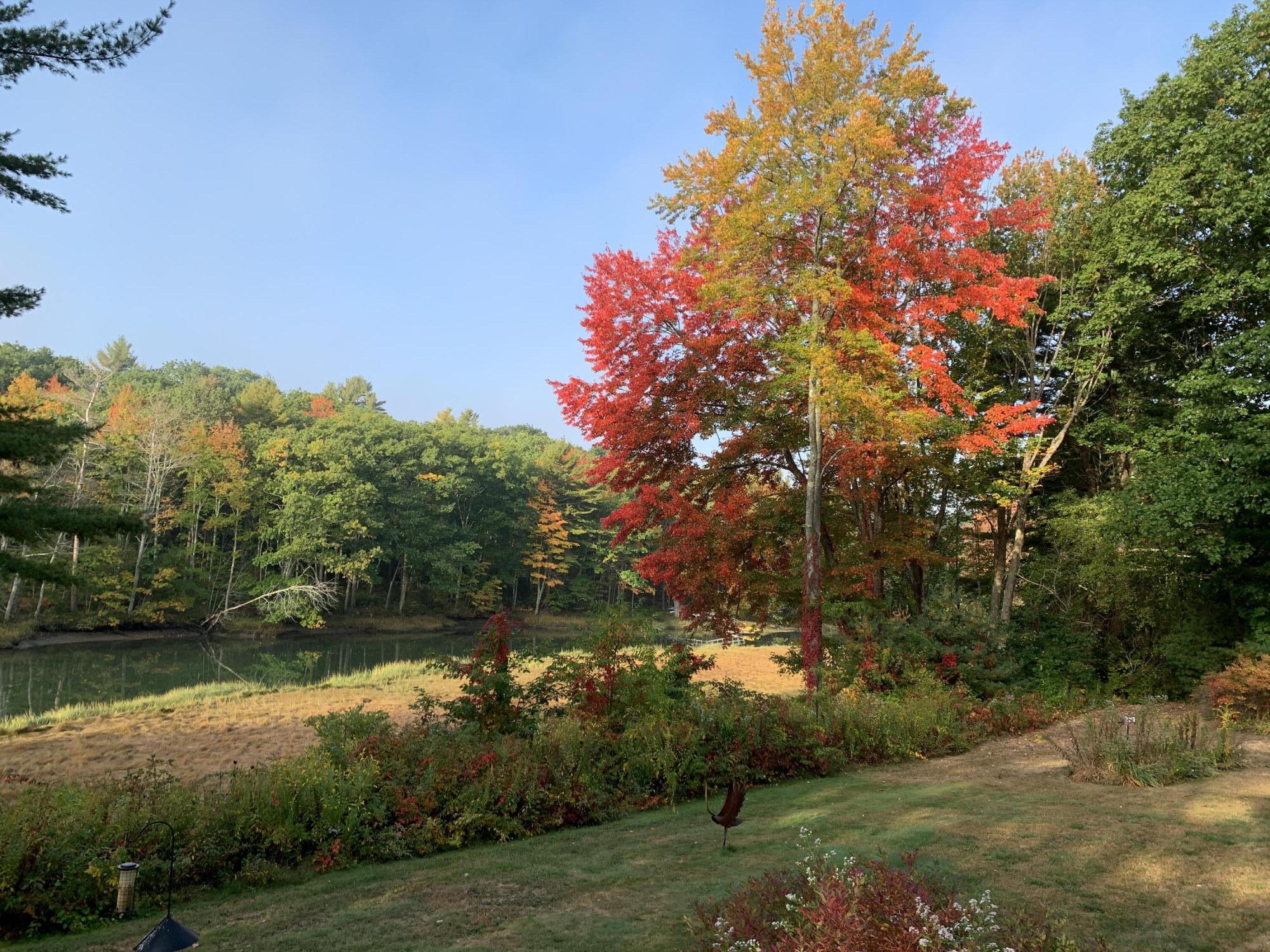 main property photo 77