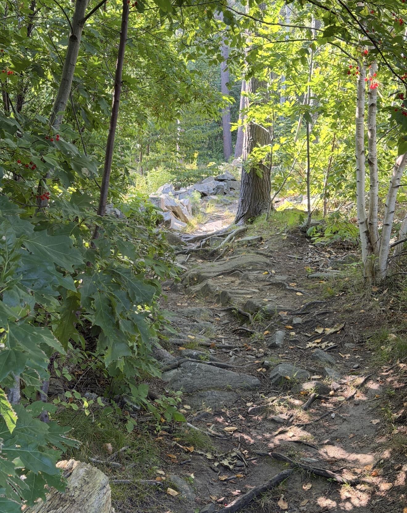 main property photo 80