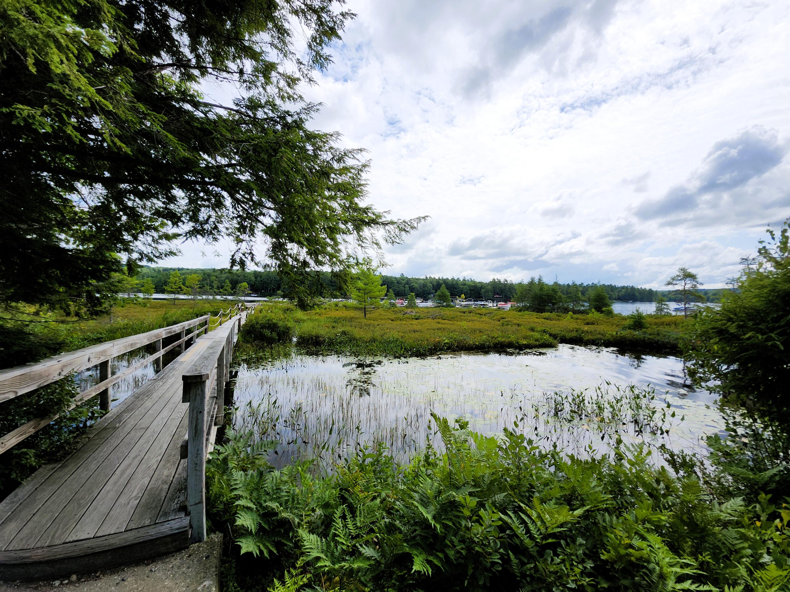 main property photo 74