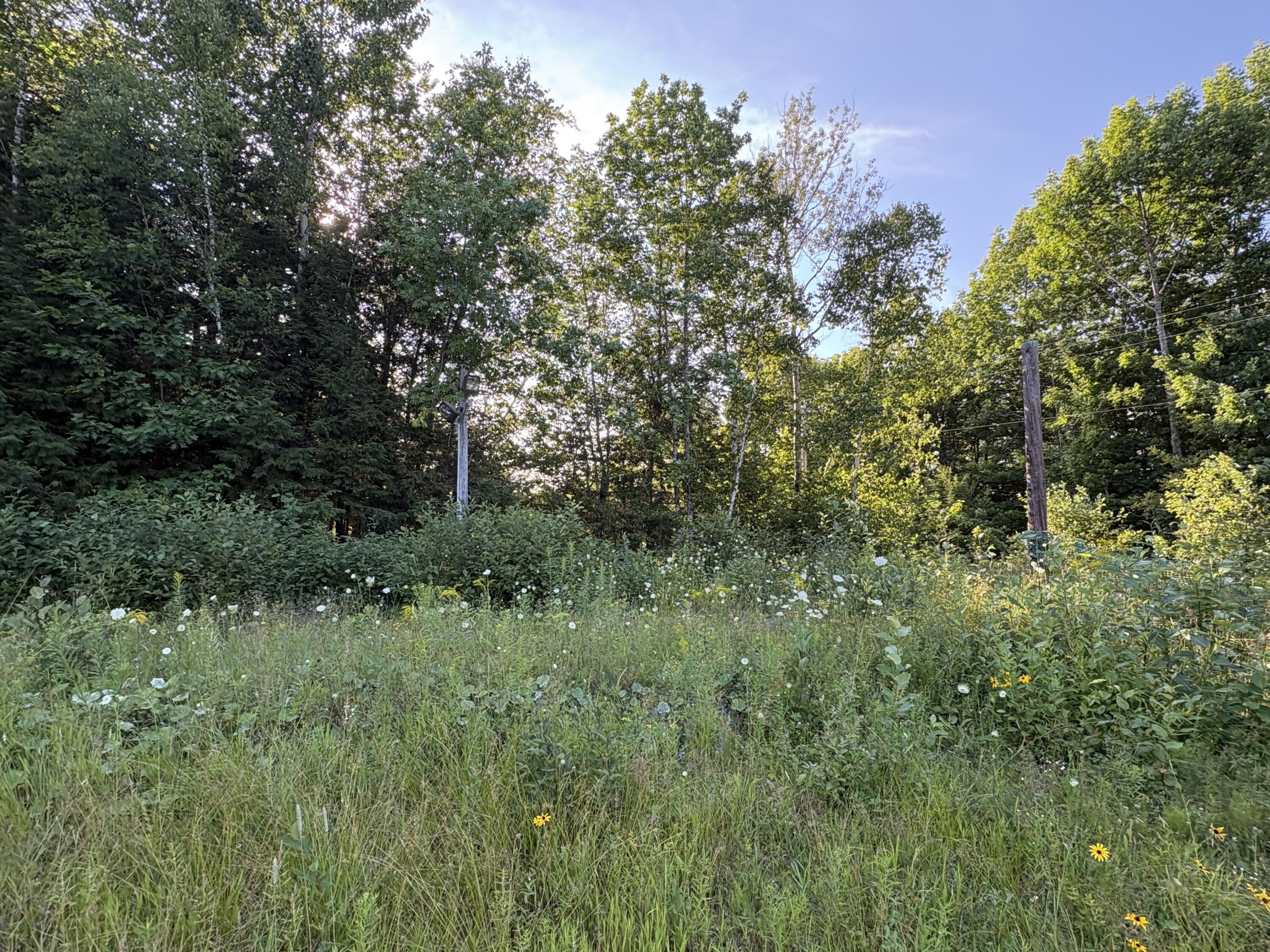 main property photo 105