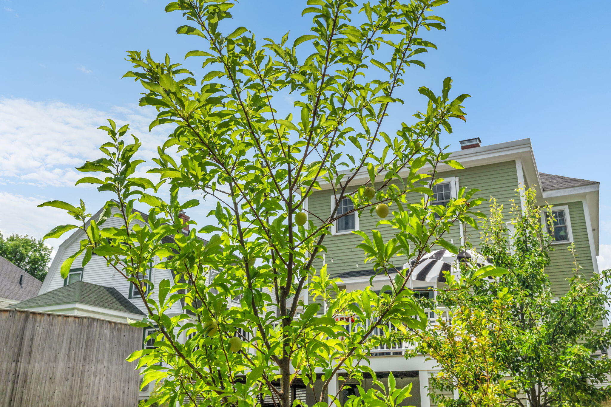main property photo 58