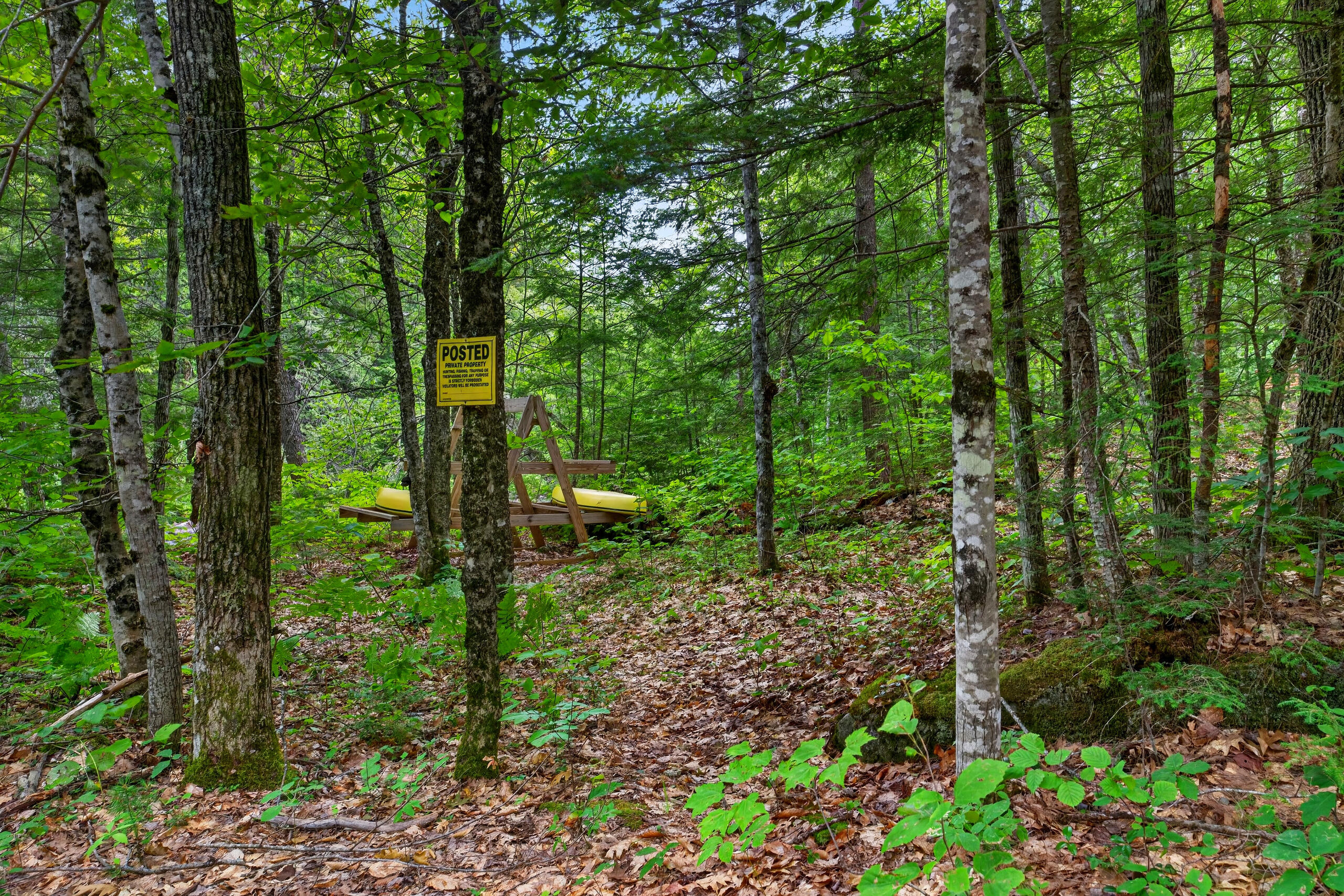 main property photo 54