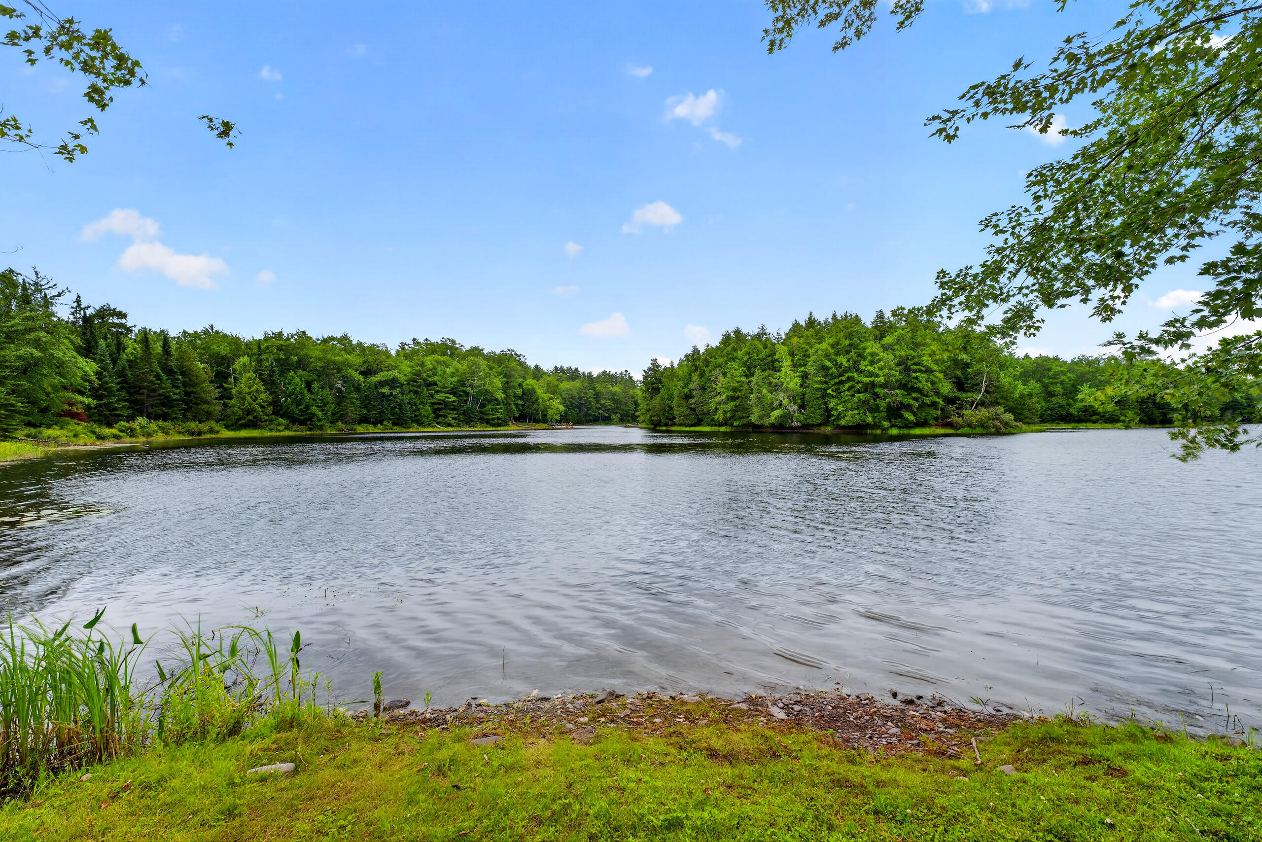 main property photo 56