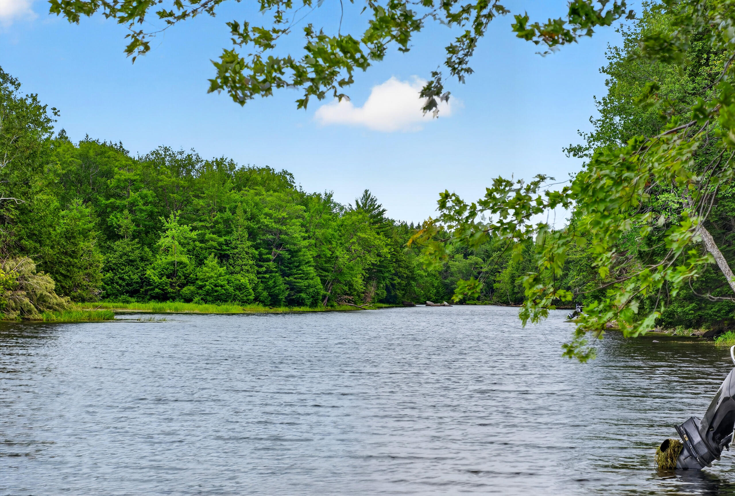 main property photo 58