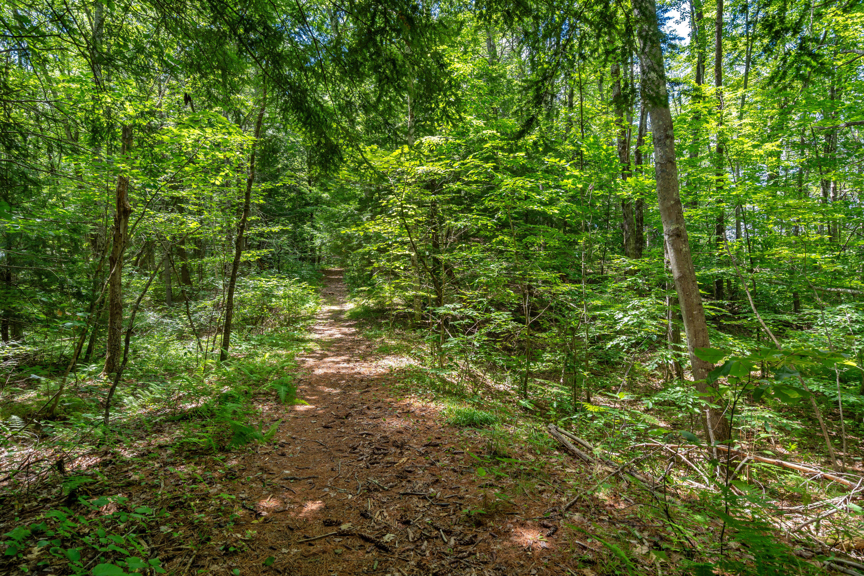 main property photo 57