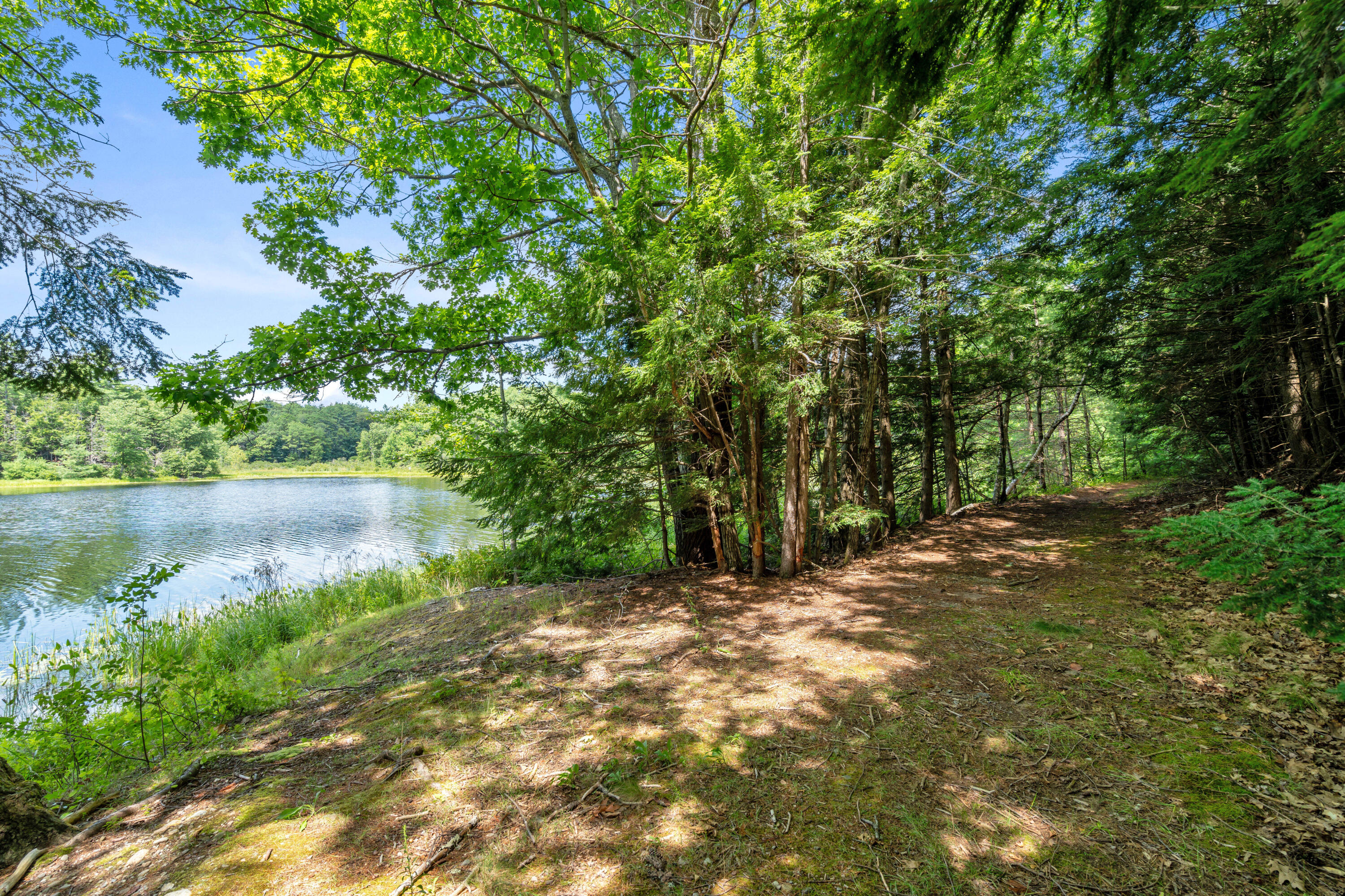 main property photo 58