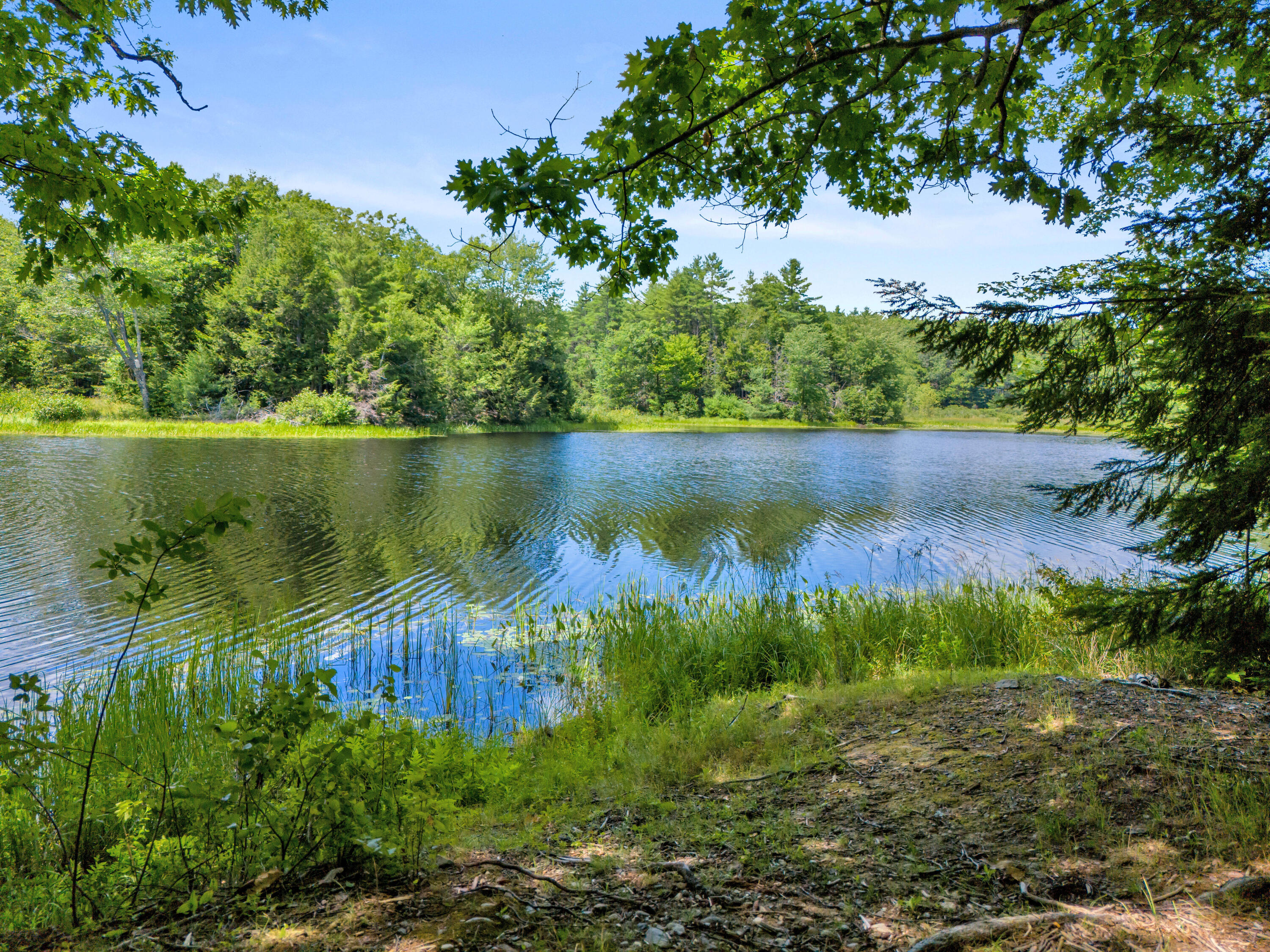 main property photo 59