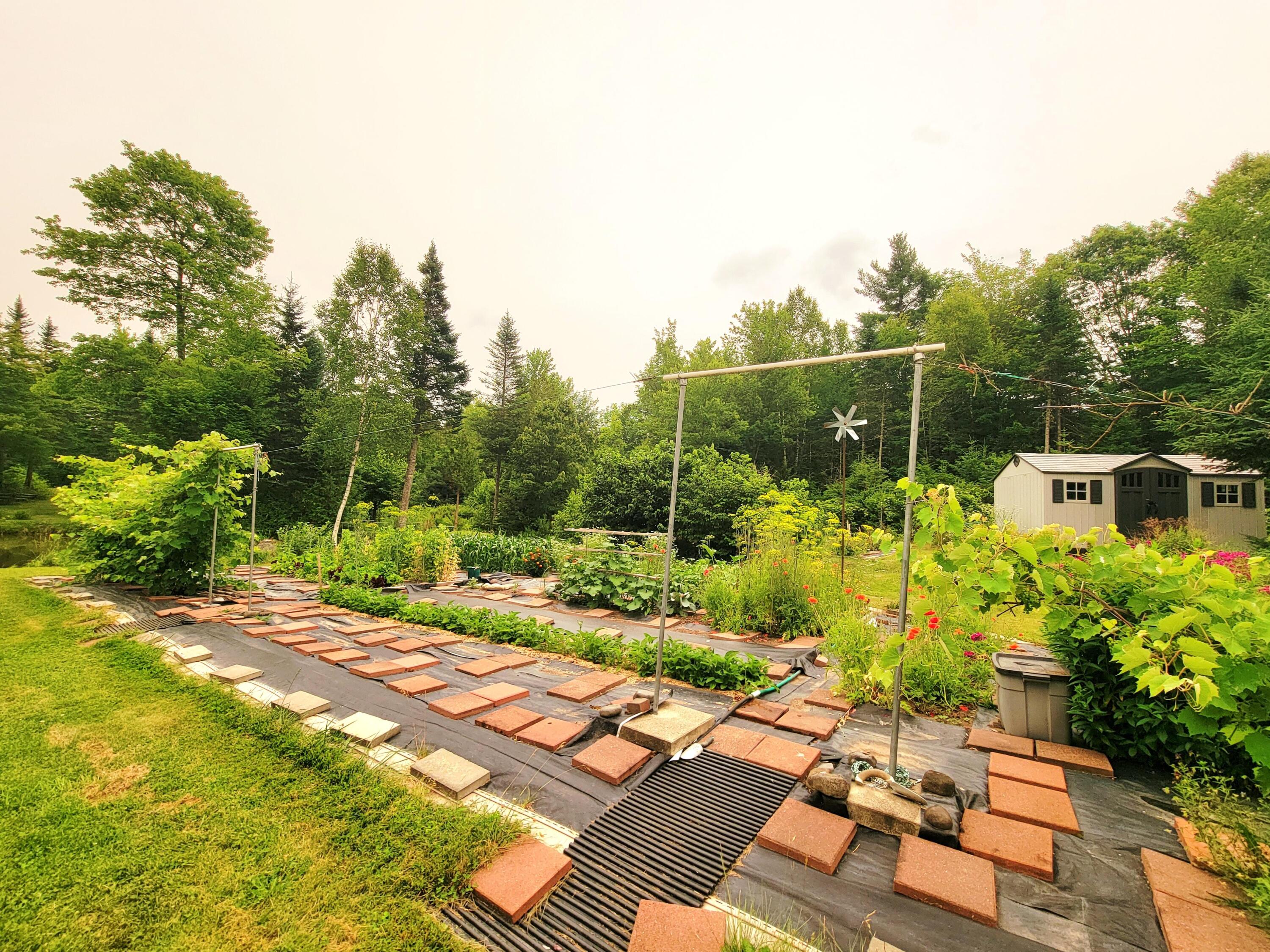 main property photo 46