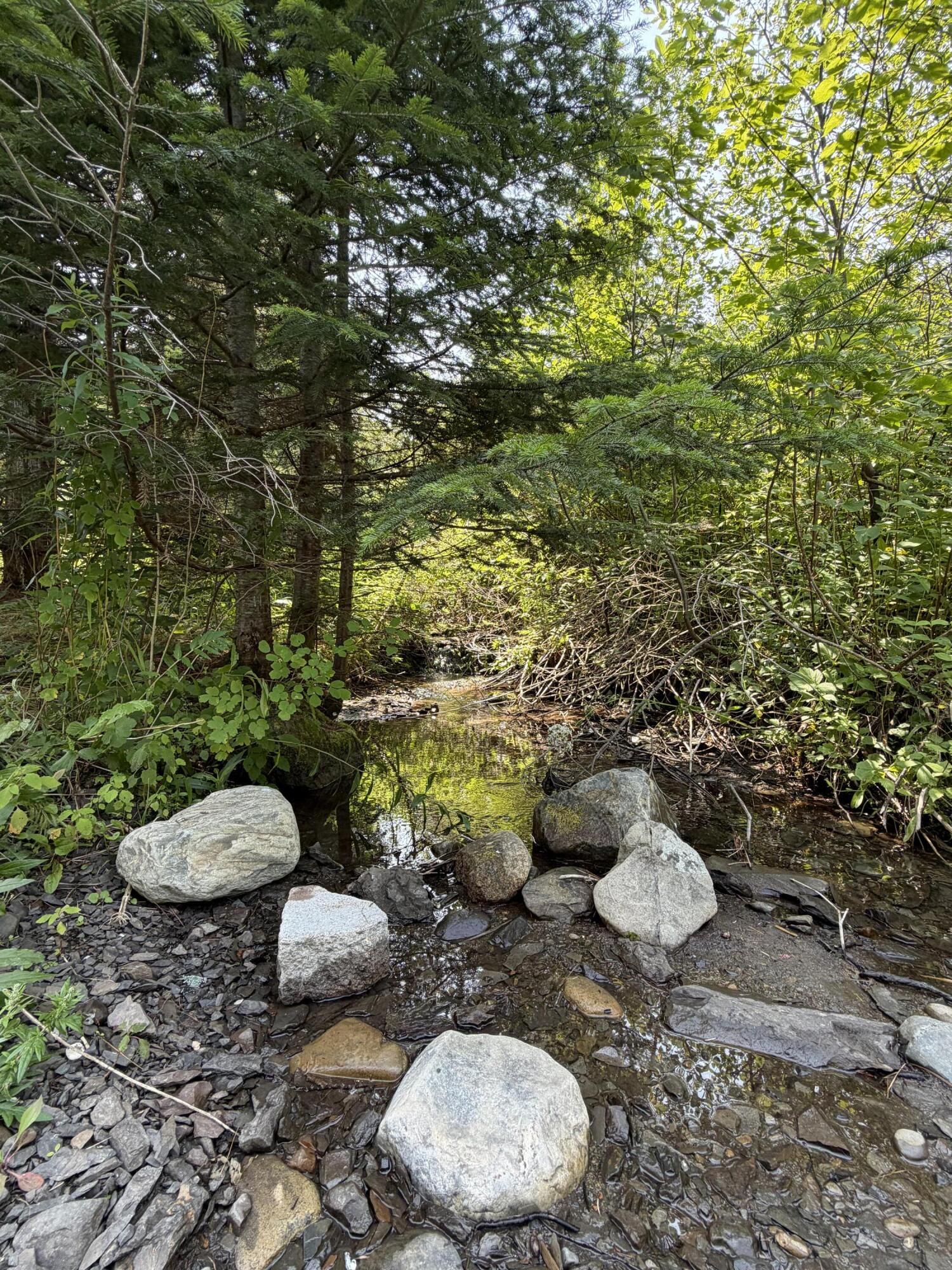 main property photo 44