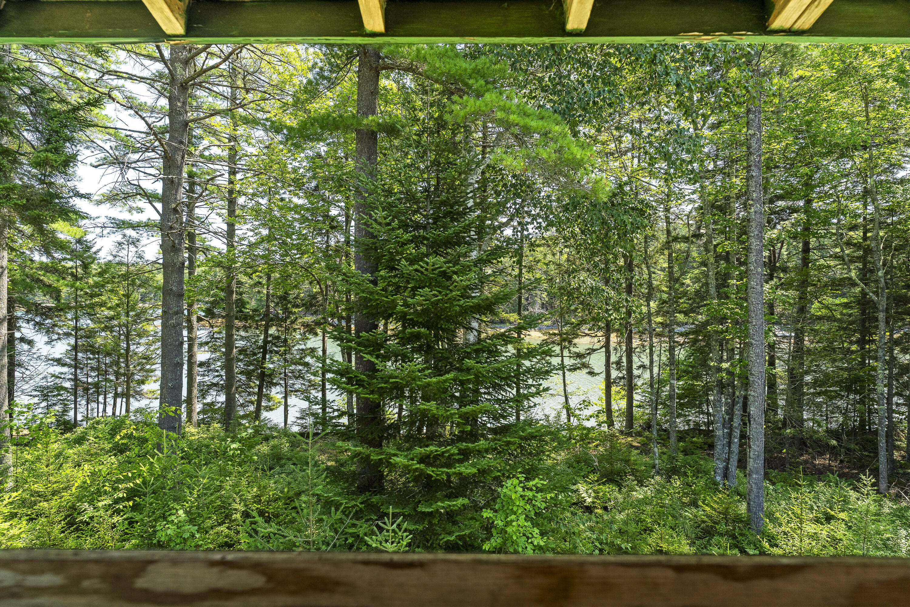 main property photo 41