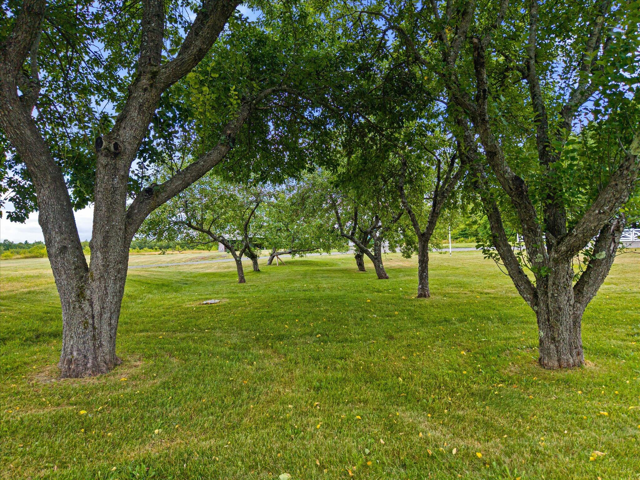 main property photo 65