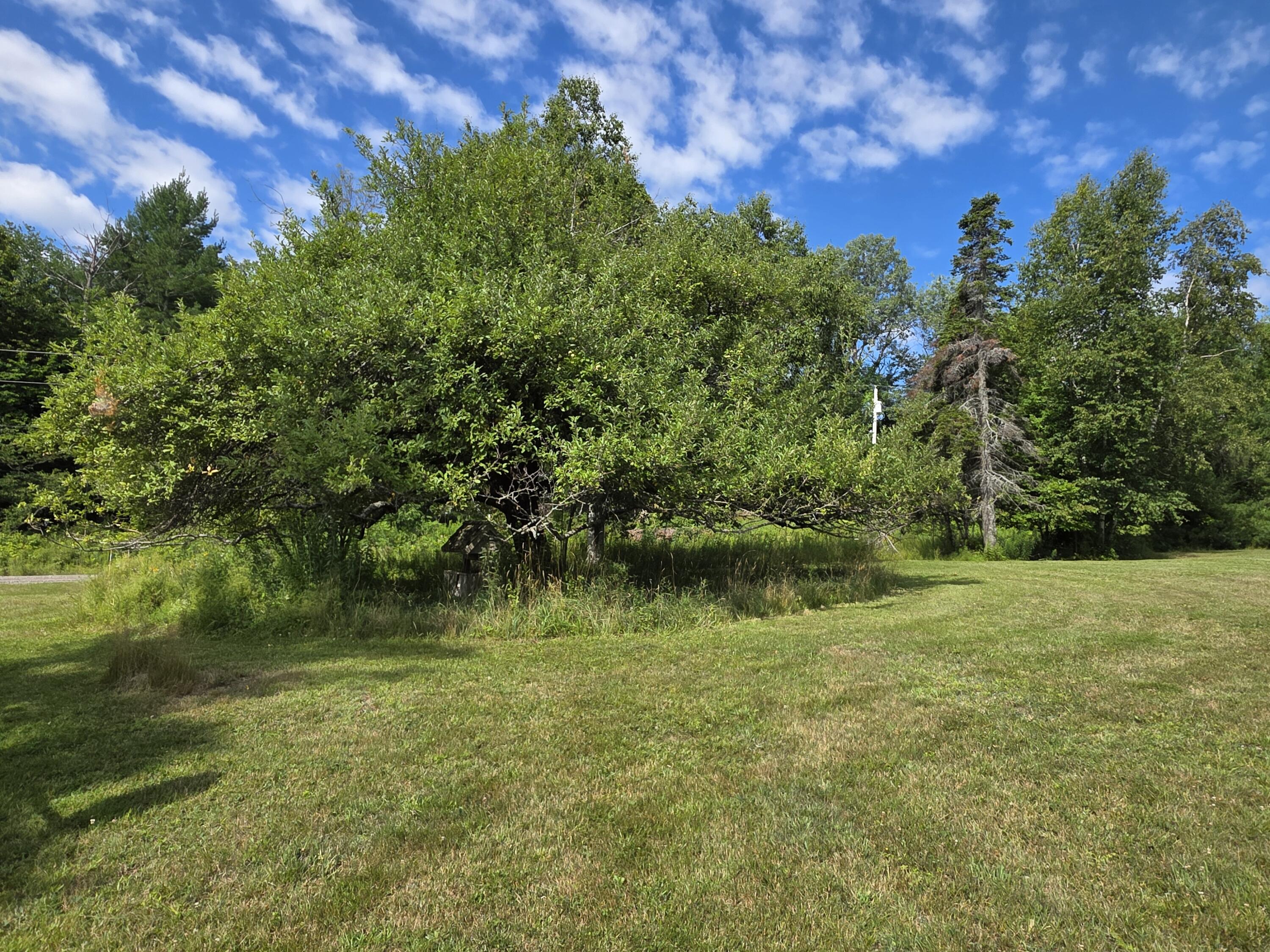 main property photo 19