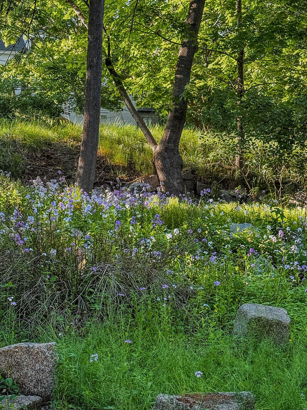 main property photo 80