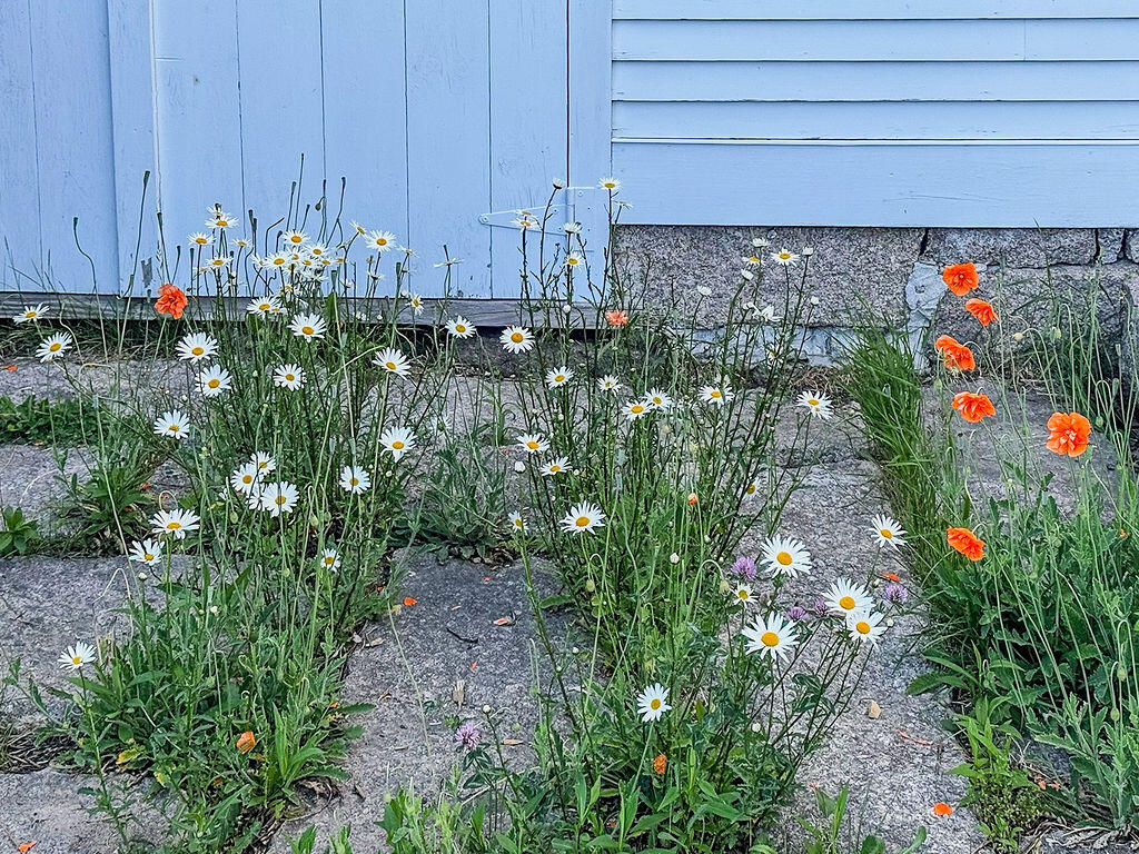 main property photo 82