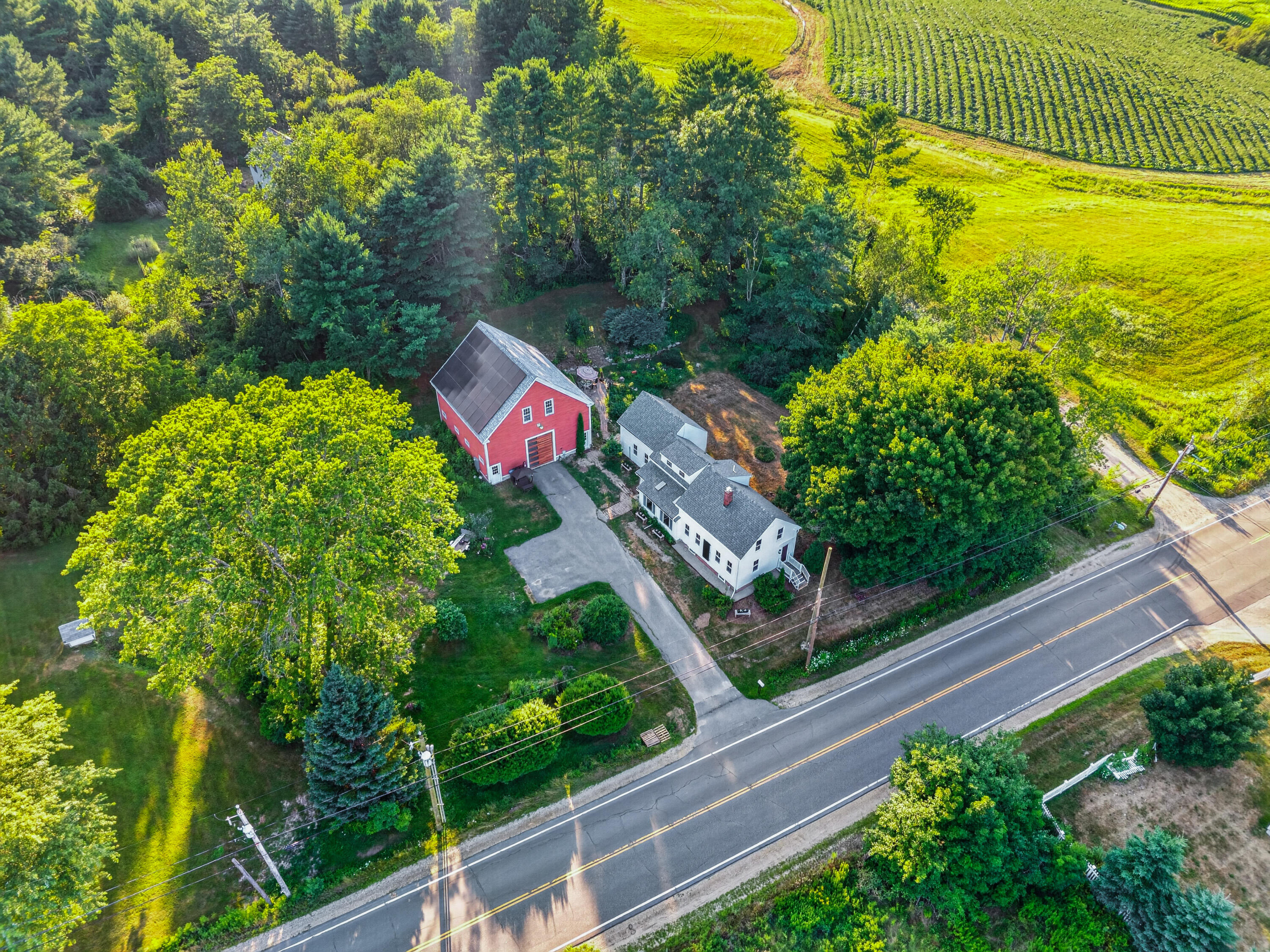 main property photo 64
