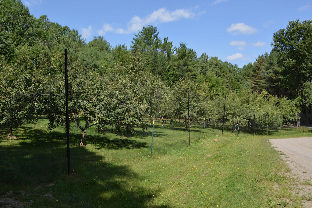 main property photo 48