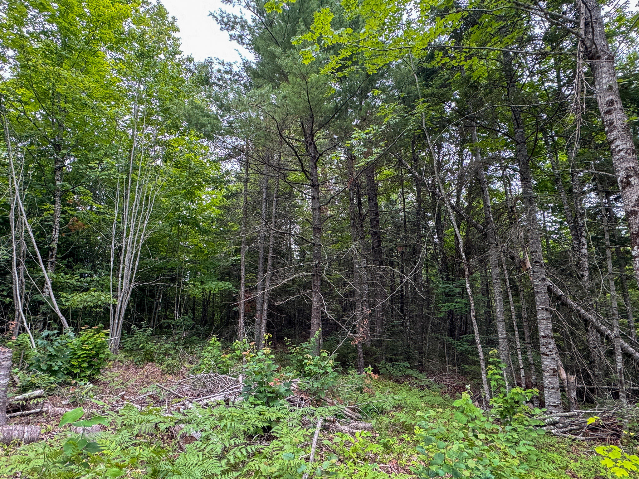 main property photo 15
