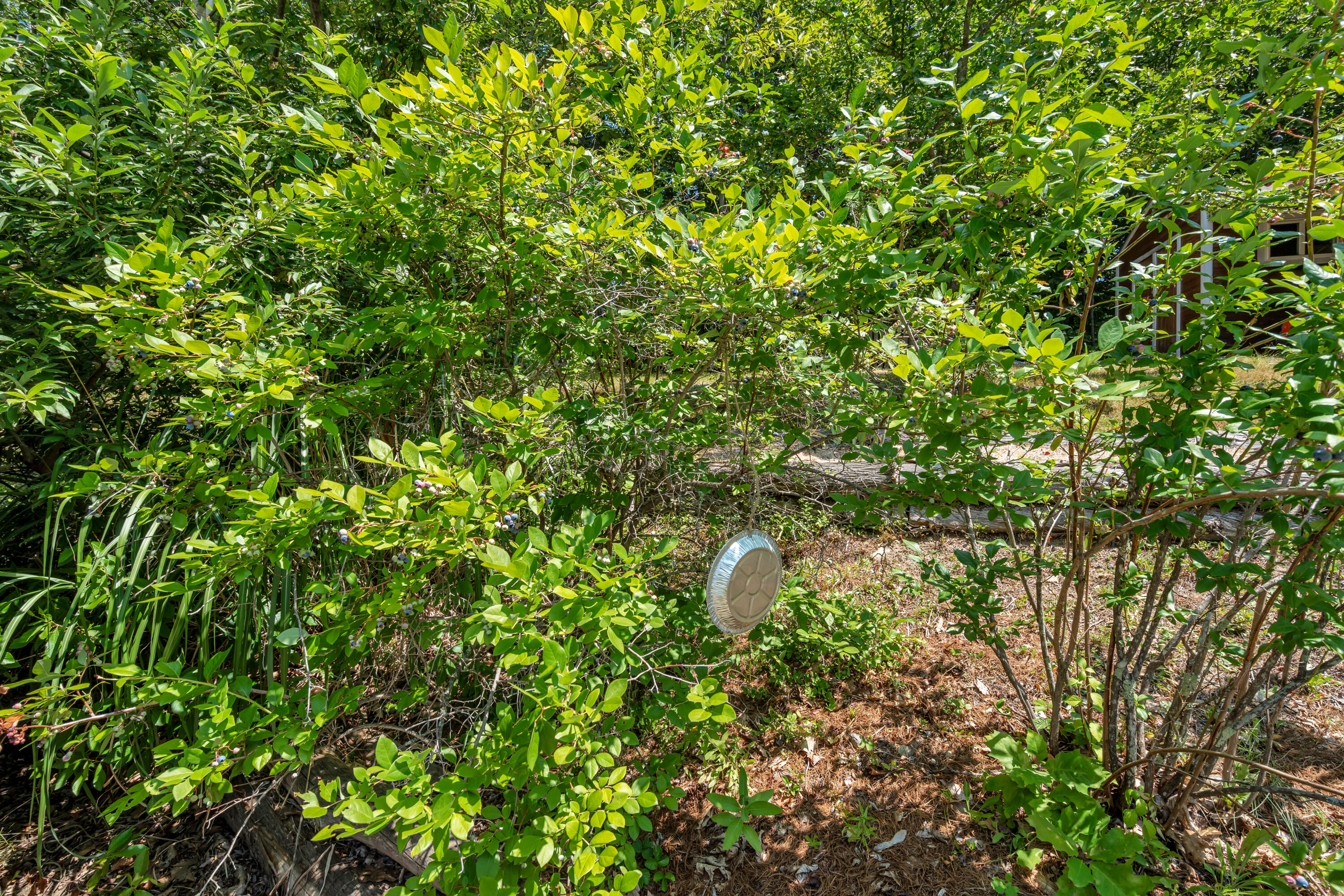 main property photo 69