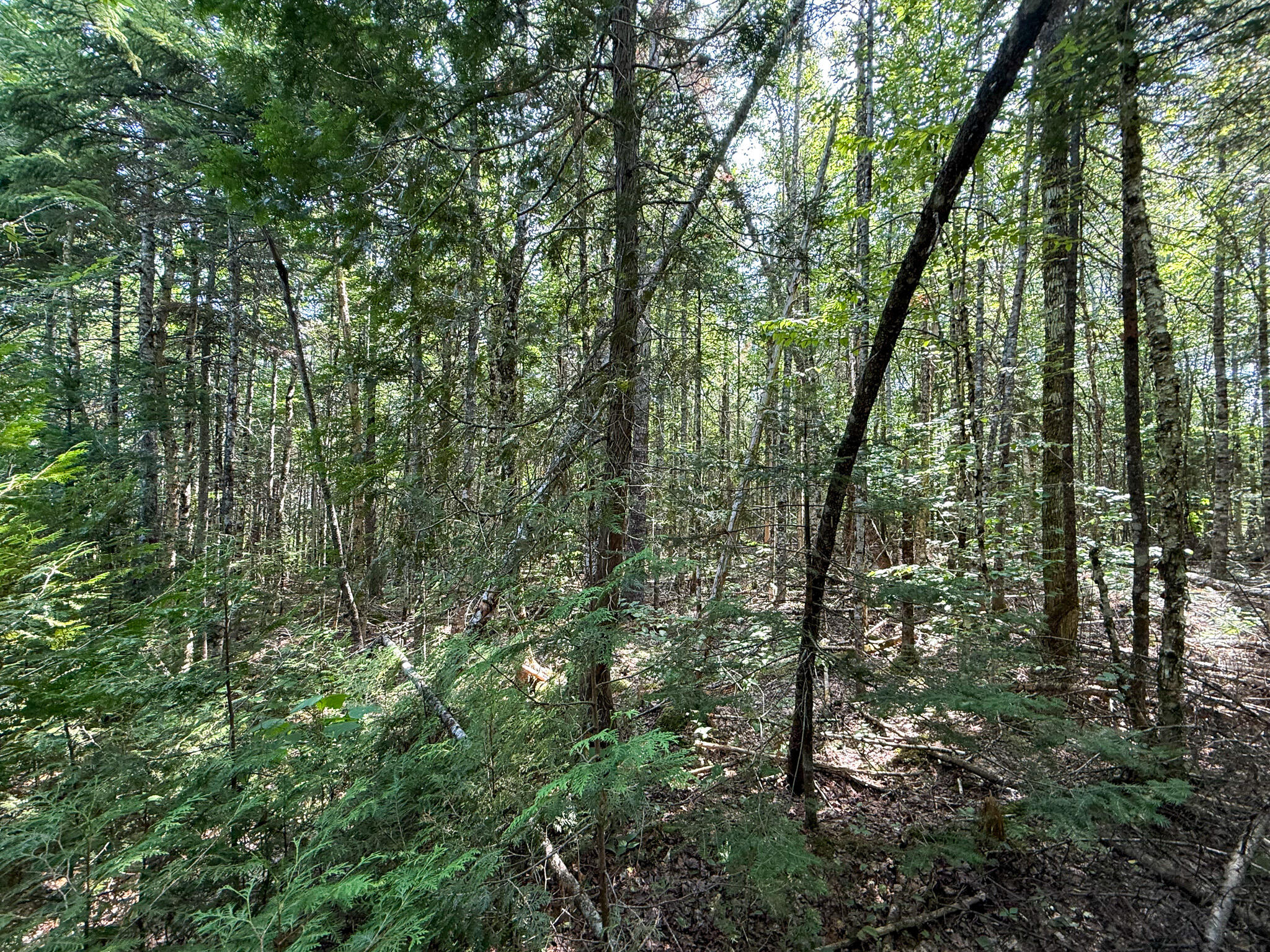 main property photo 19