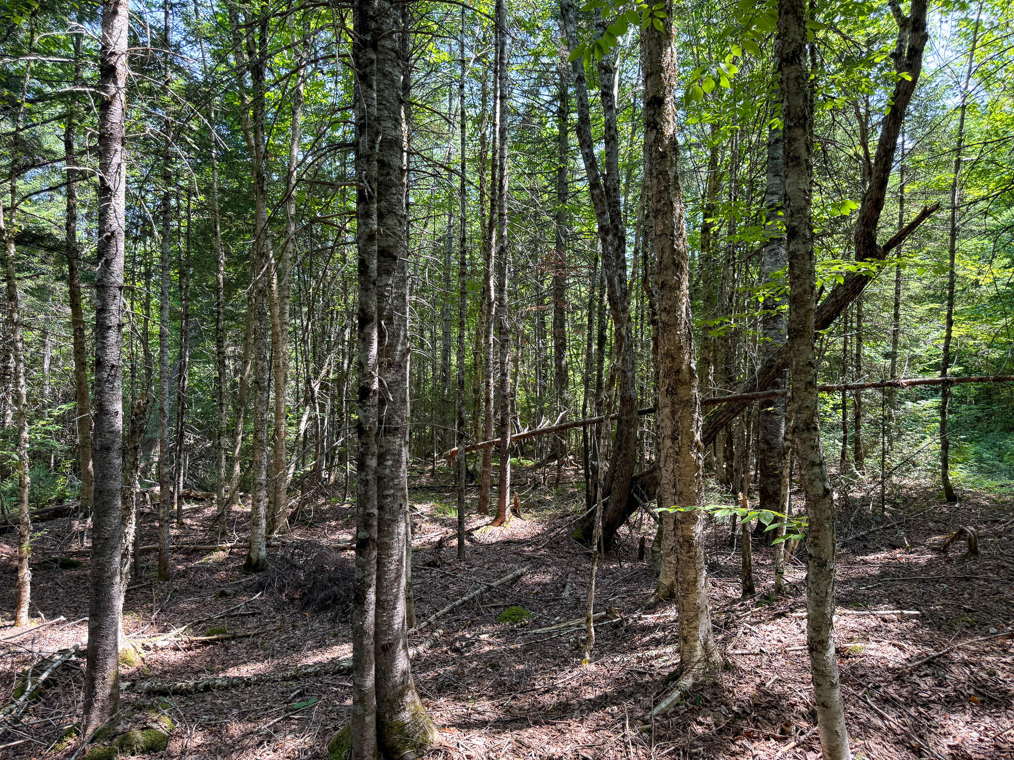 main property photo 30