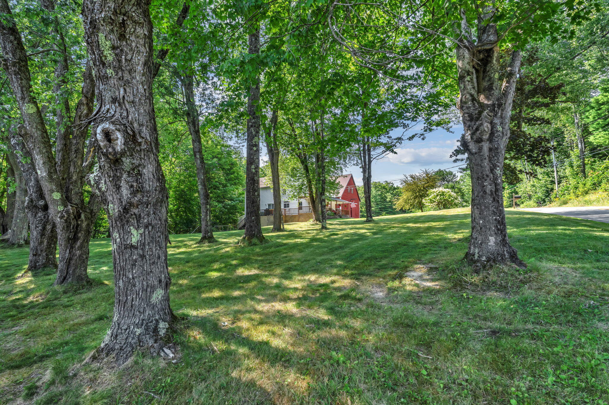 main property photo 68
