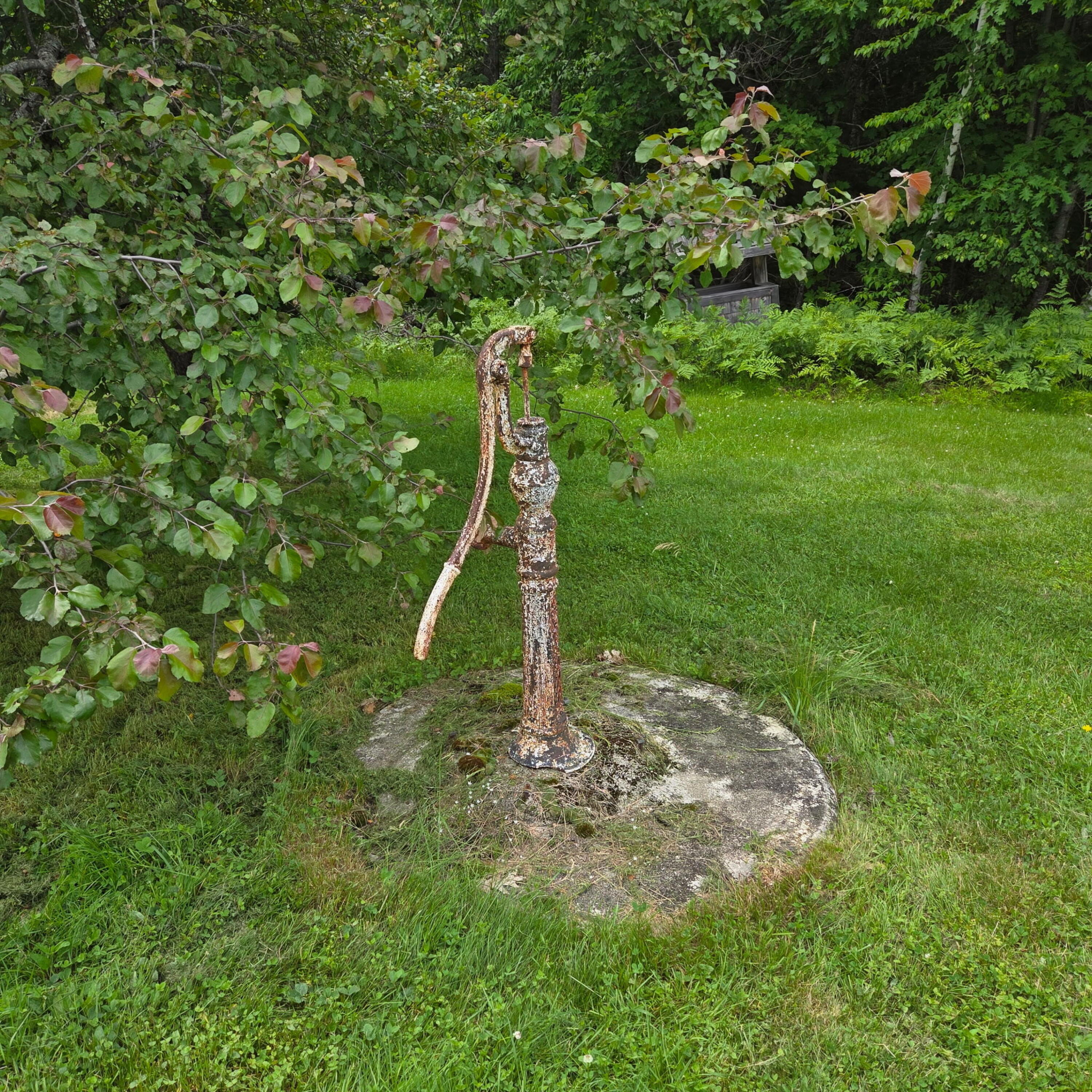 main property photo 35