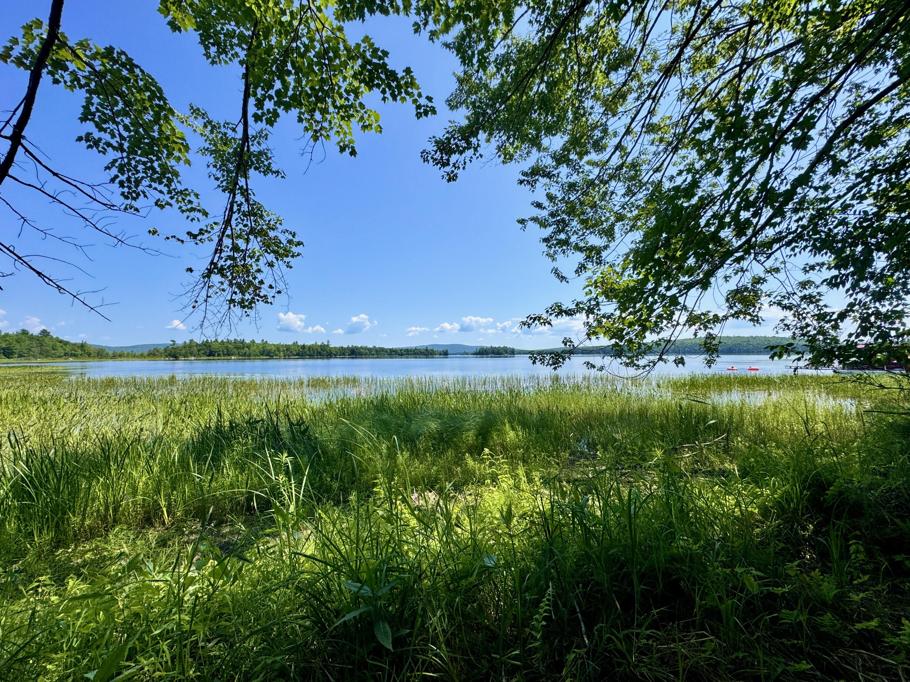 main property photo 55