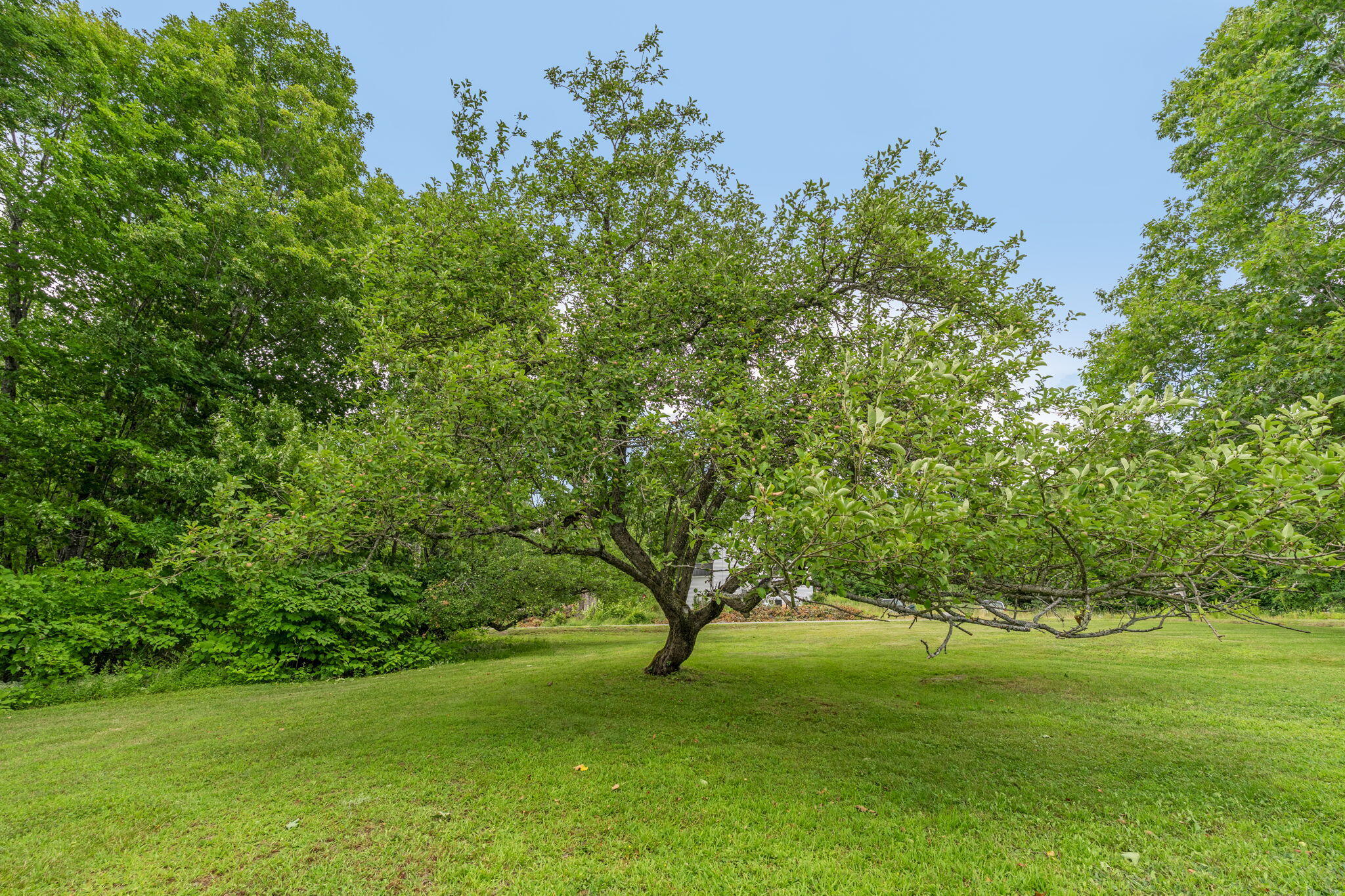 main property photo 41