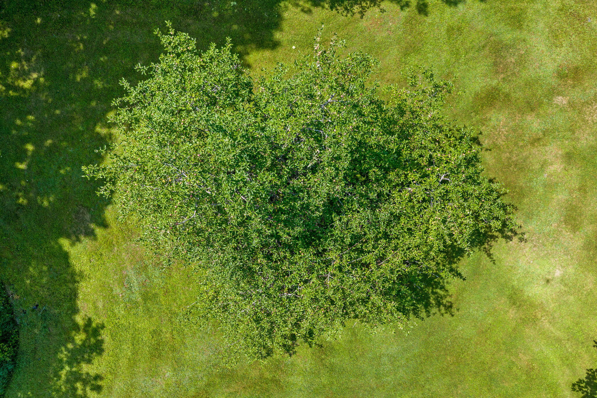 main property photo 55