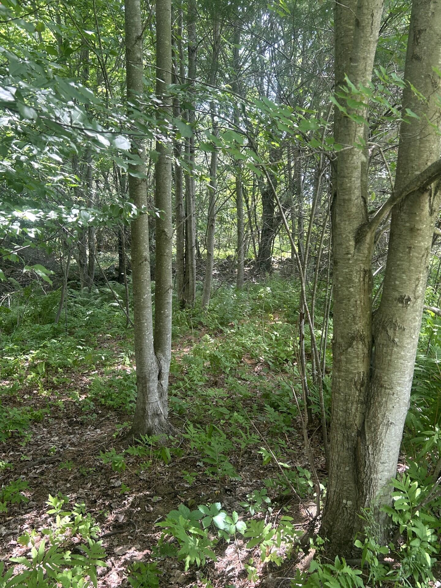 main property photo 11